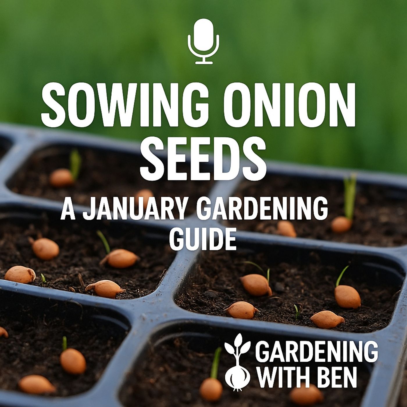 🎧 🧅 Sowing Onion Seeds: A January Gardening Guide 🌱 episode artwork