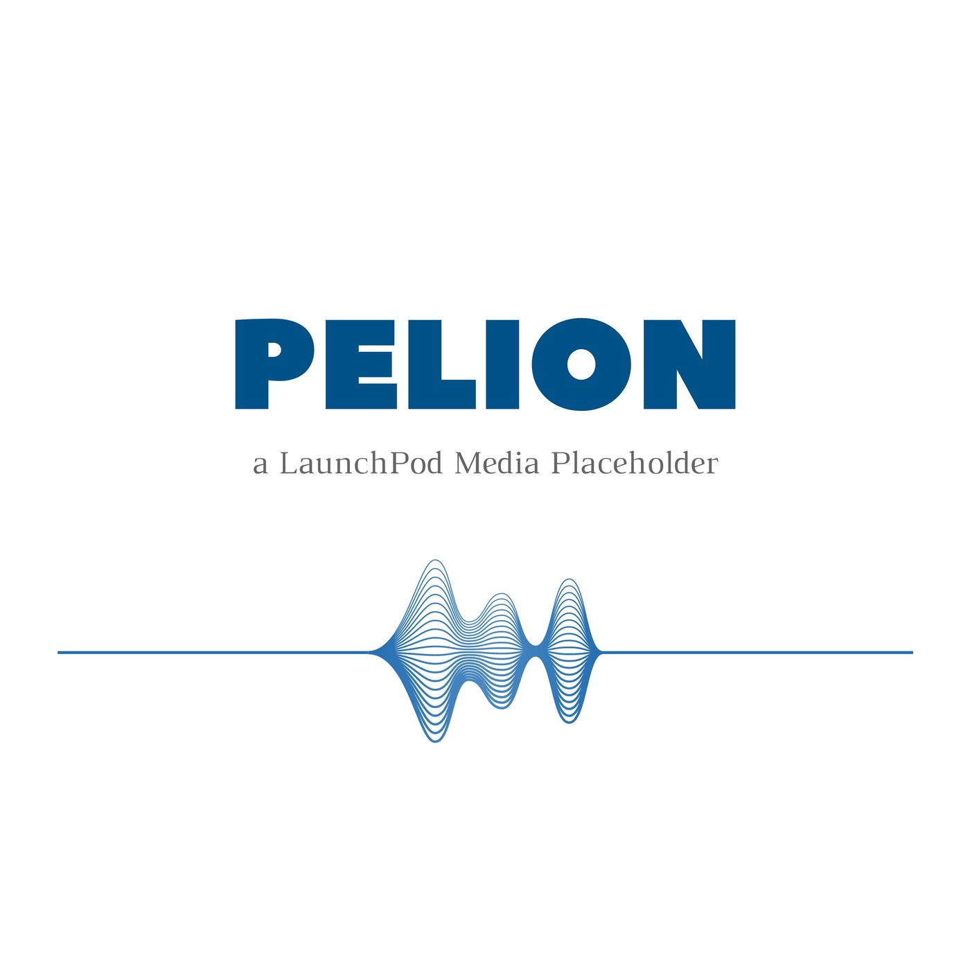 The PELION Podcast