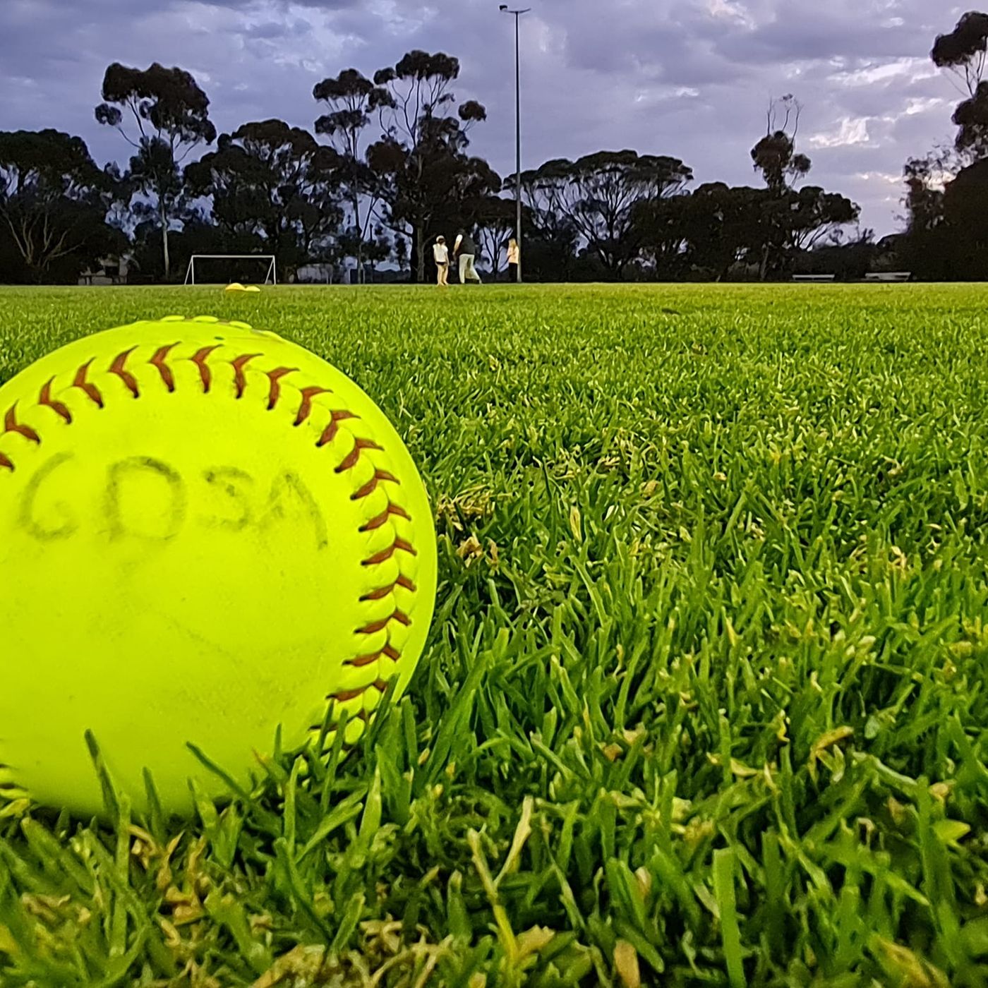 Gawler and Districts President Veg Ingram previews the last round of softball action in 2022 episode artwork