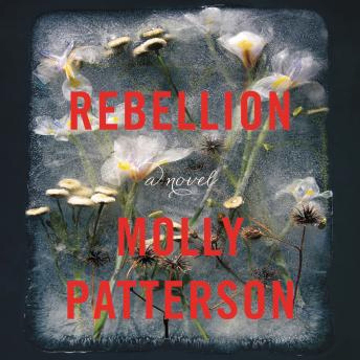 Grab the Top Full Audiobooks in Fiction, Contemporary Women