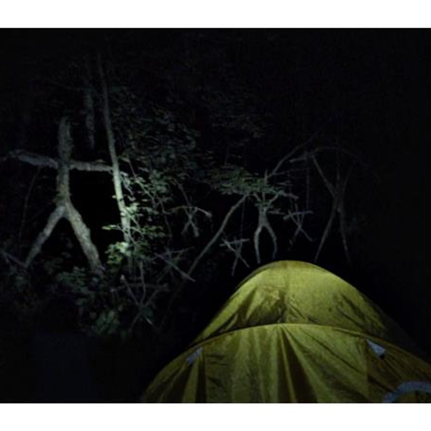 Cinema Royale #15 Gets Spooked By 'Blair Witch', Takes Off With 'Sully' episode artwork