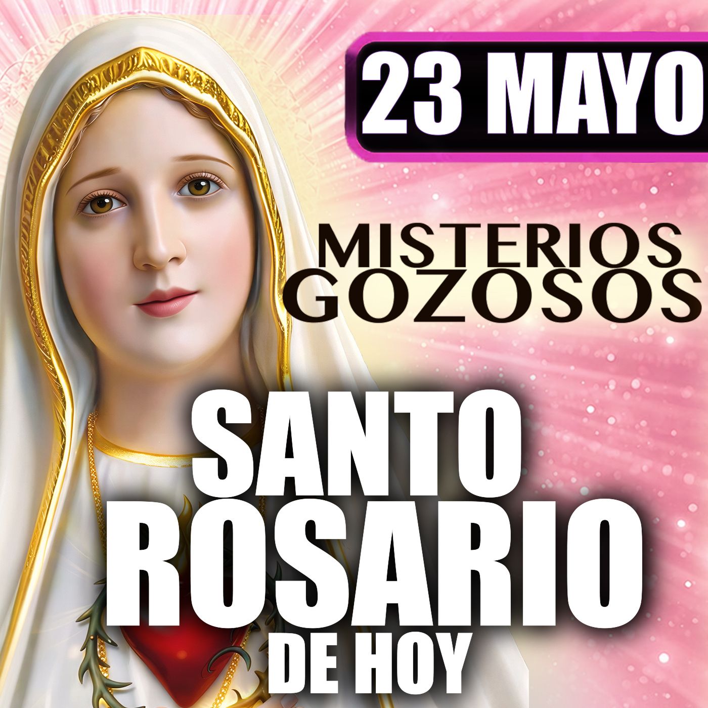 Santo Rosario Mes de María 🌸 23 de Mayo de 2026 | #MisteriosGozosos