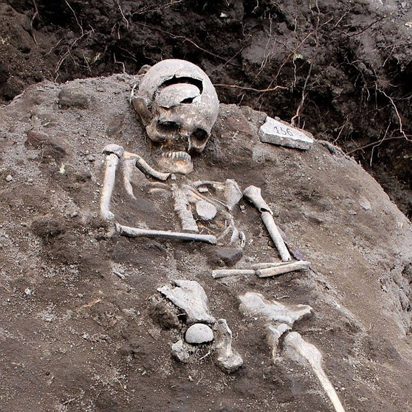 Gorehound's Metal Session