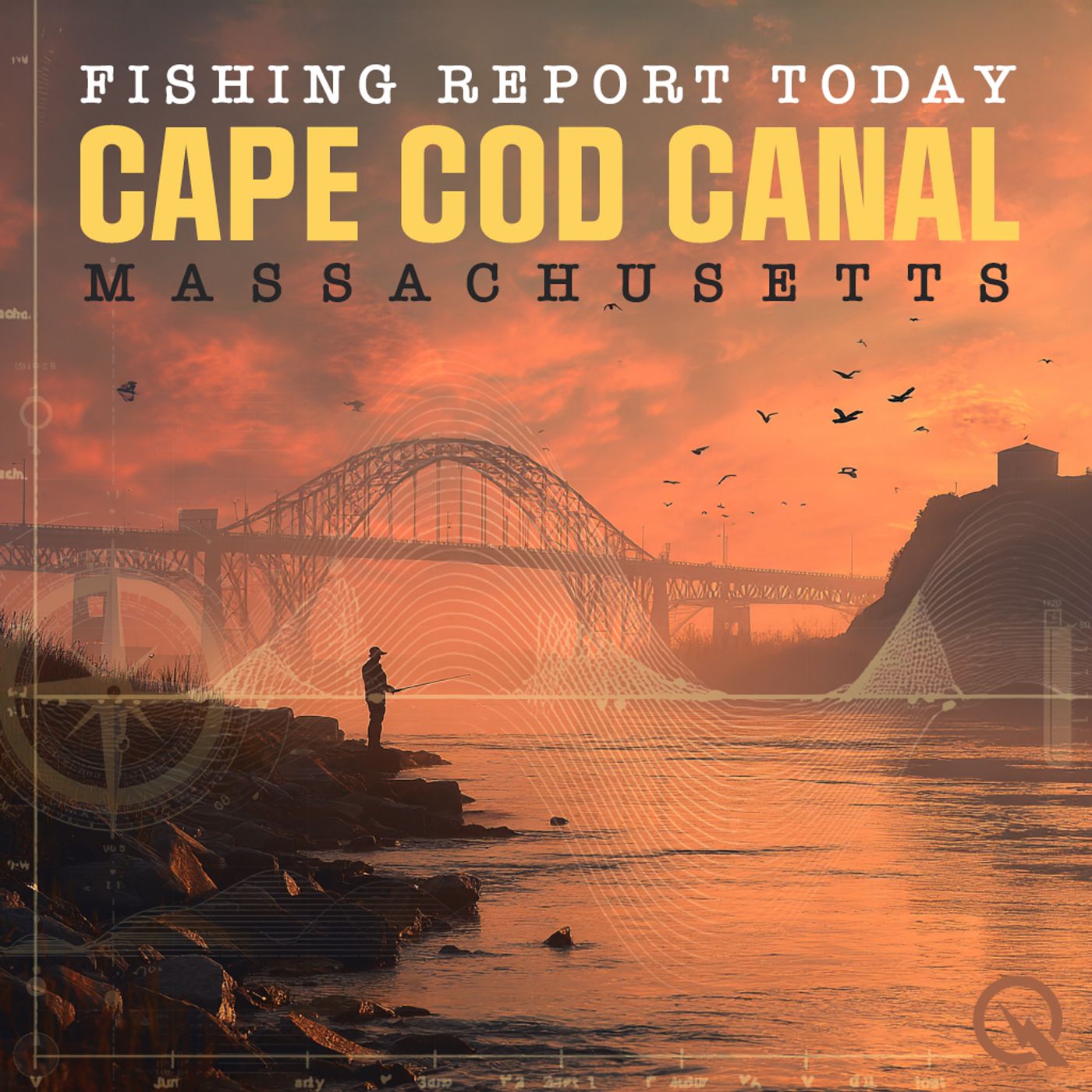Stripers and Tides - A Cape Cod Canal Report for November 1, 2025