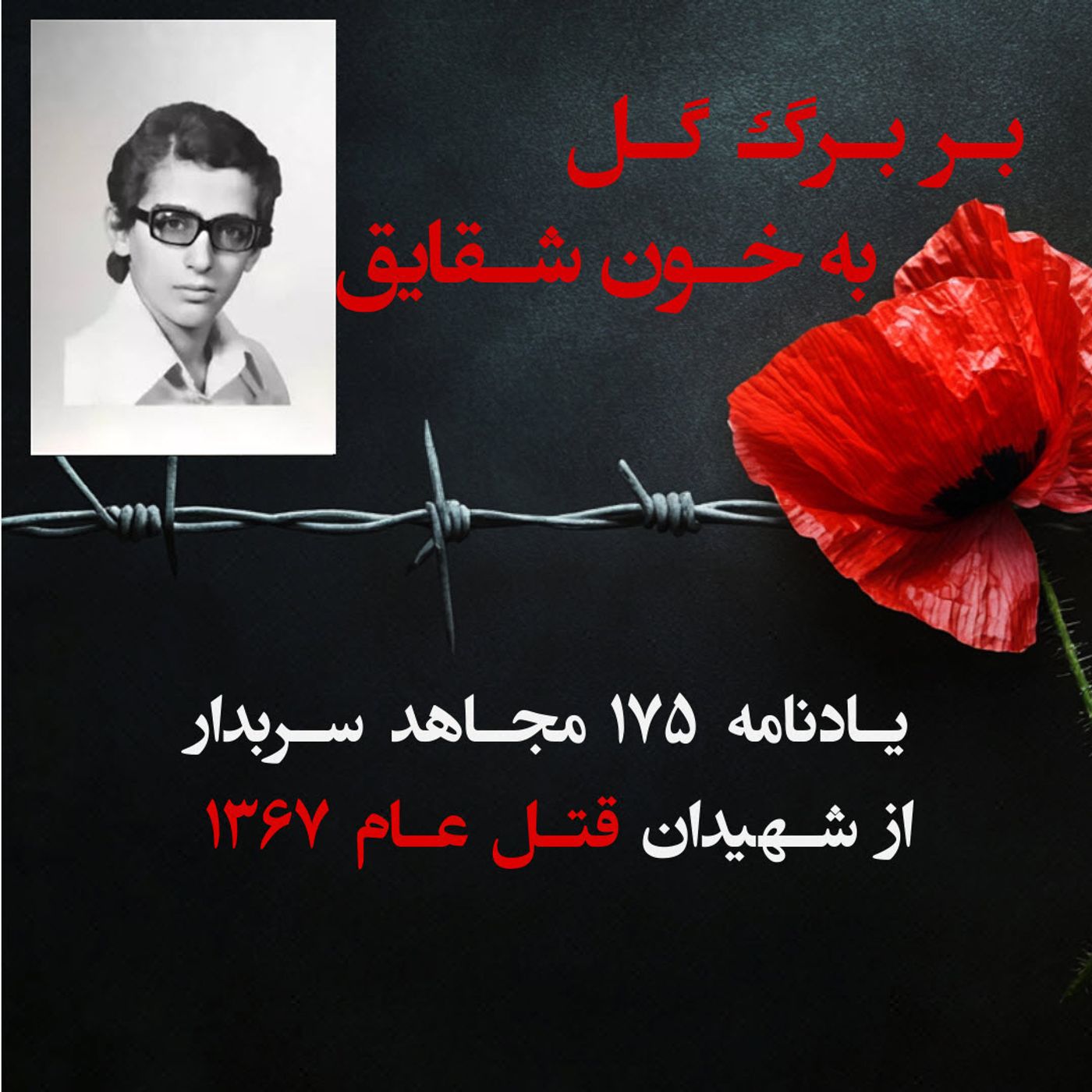 بربرگ گل به خون شقایق- مرتضی ملا عبدالحسینی-۱۱۸ episode artwork