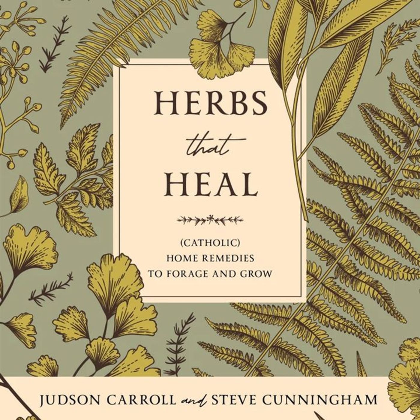 Show 308: Herbs that Heal Natural Remedies for Tiny Tots episode artwork