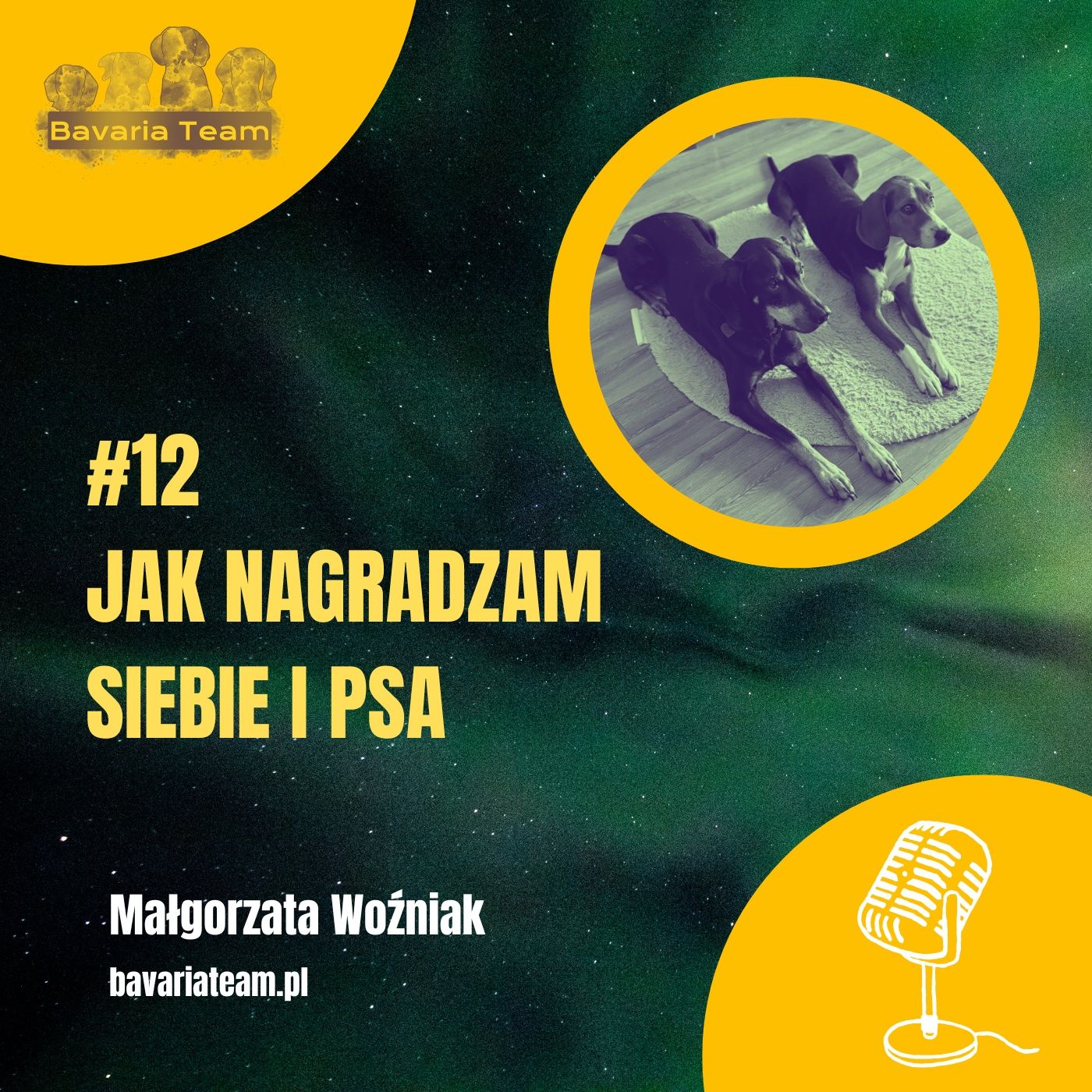 #12. Jak nagradzam siebie i mojego psa episode artwork