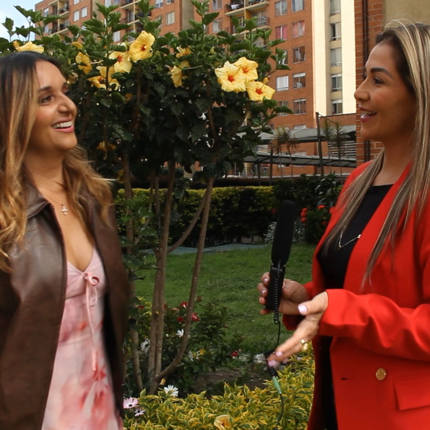 Programas de gama Stéreo y gamaColombia