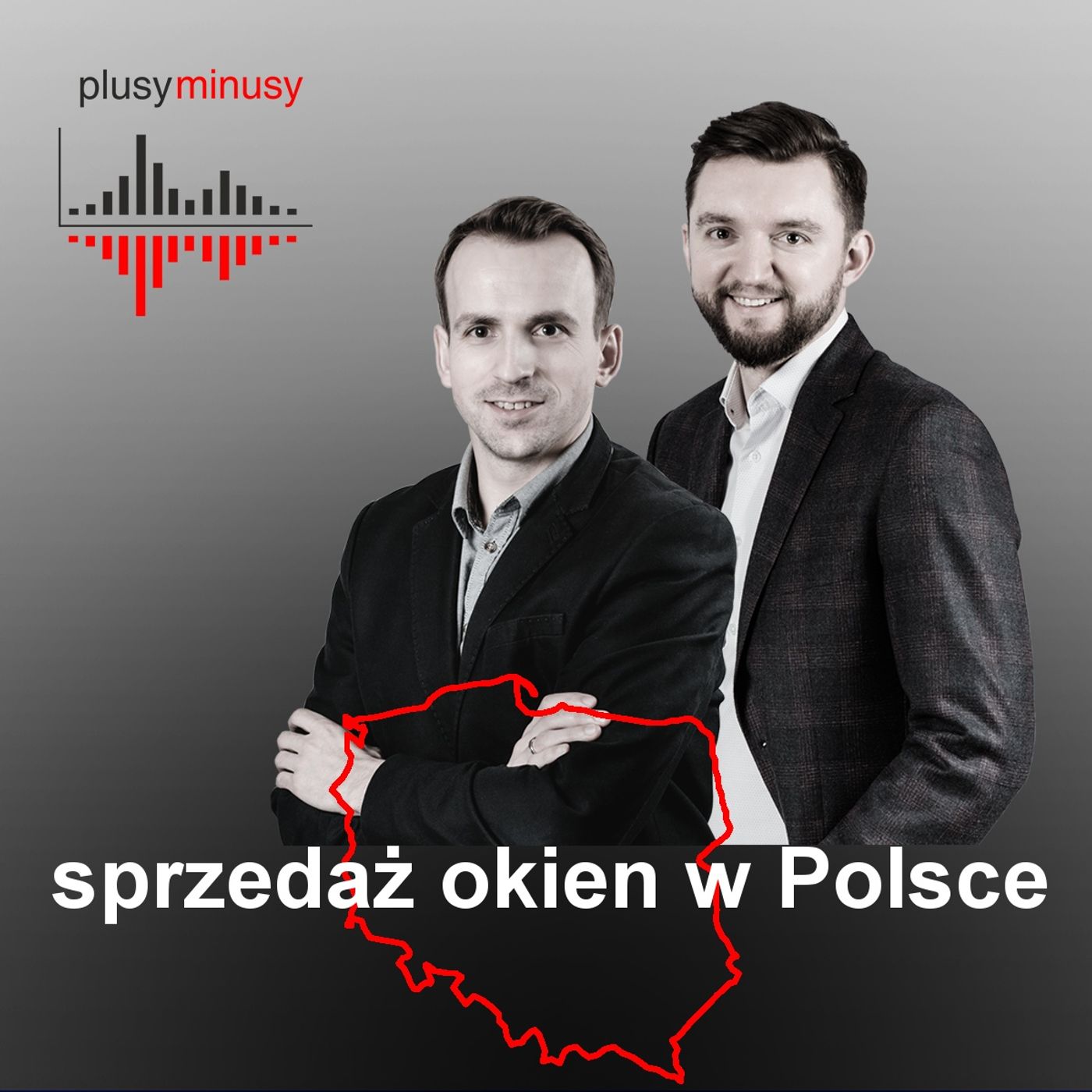 Plusy, minusy #10 - sprzedaż okien w Polsce episode artwork