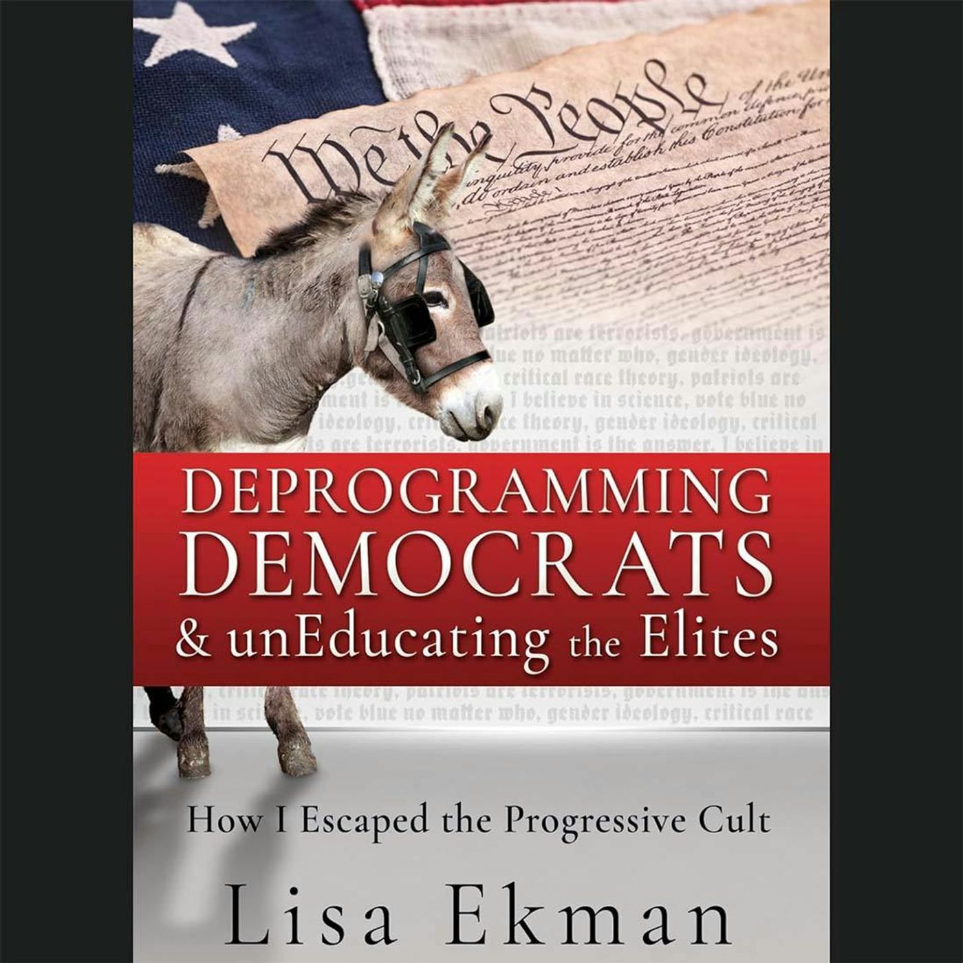 Deprogramming Democrats: Why Insider Lisa Ekman Left the Party episode artwork