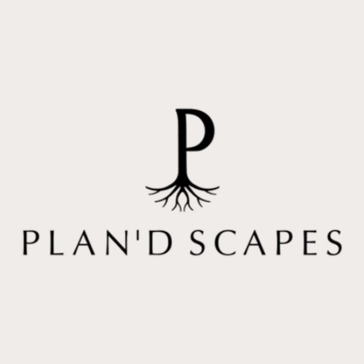 Landscaping collaroy