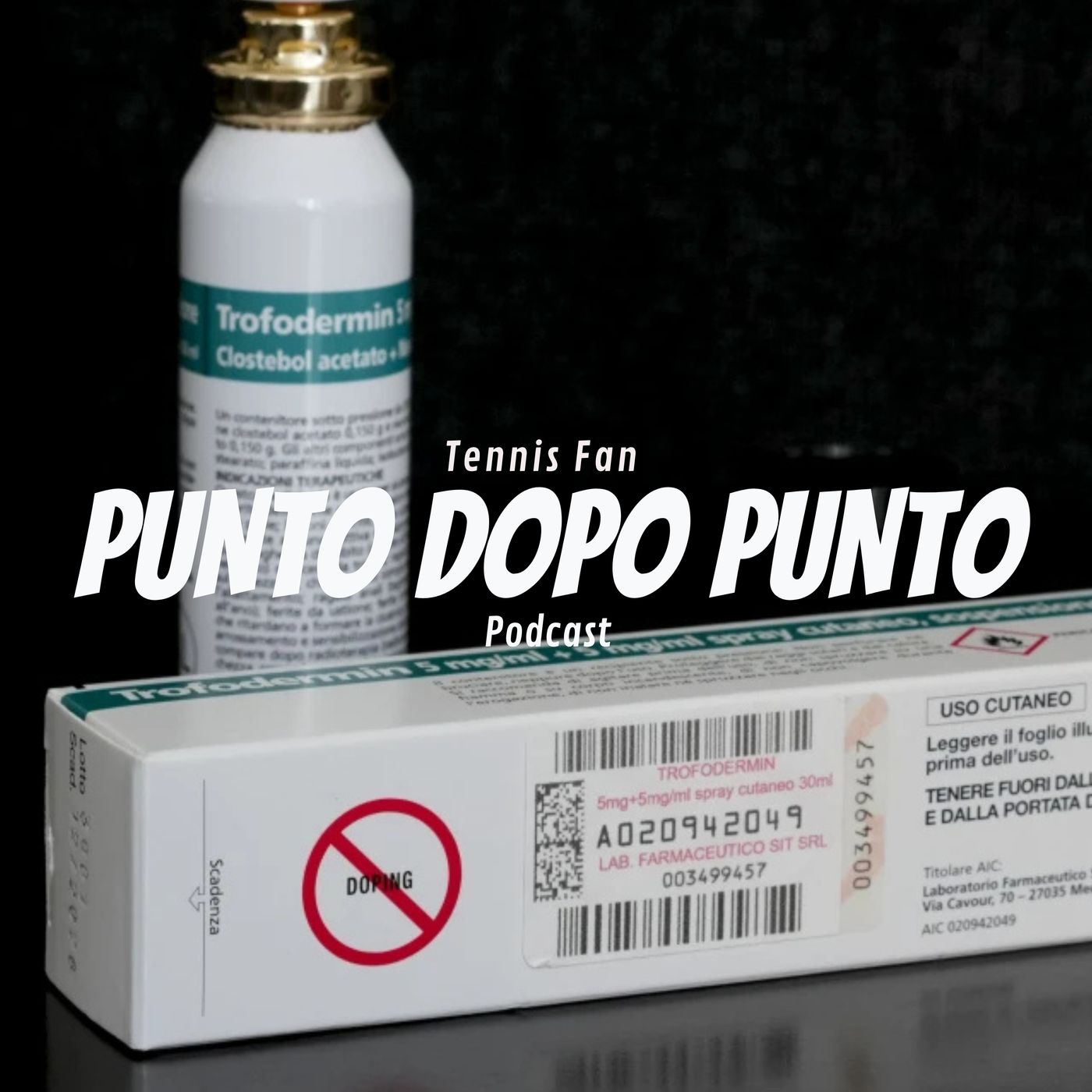 Punto Dopo punto - Tennis Fan Podcast