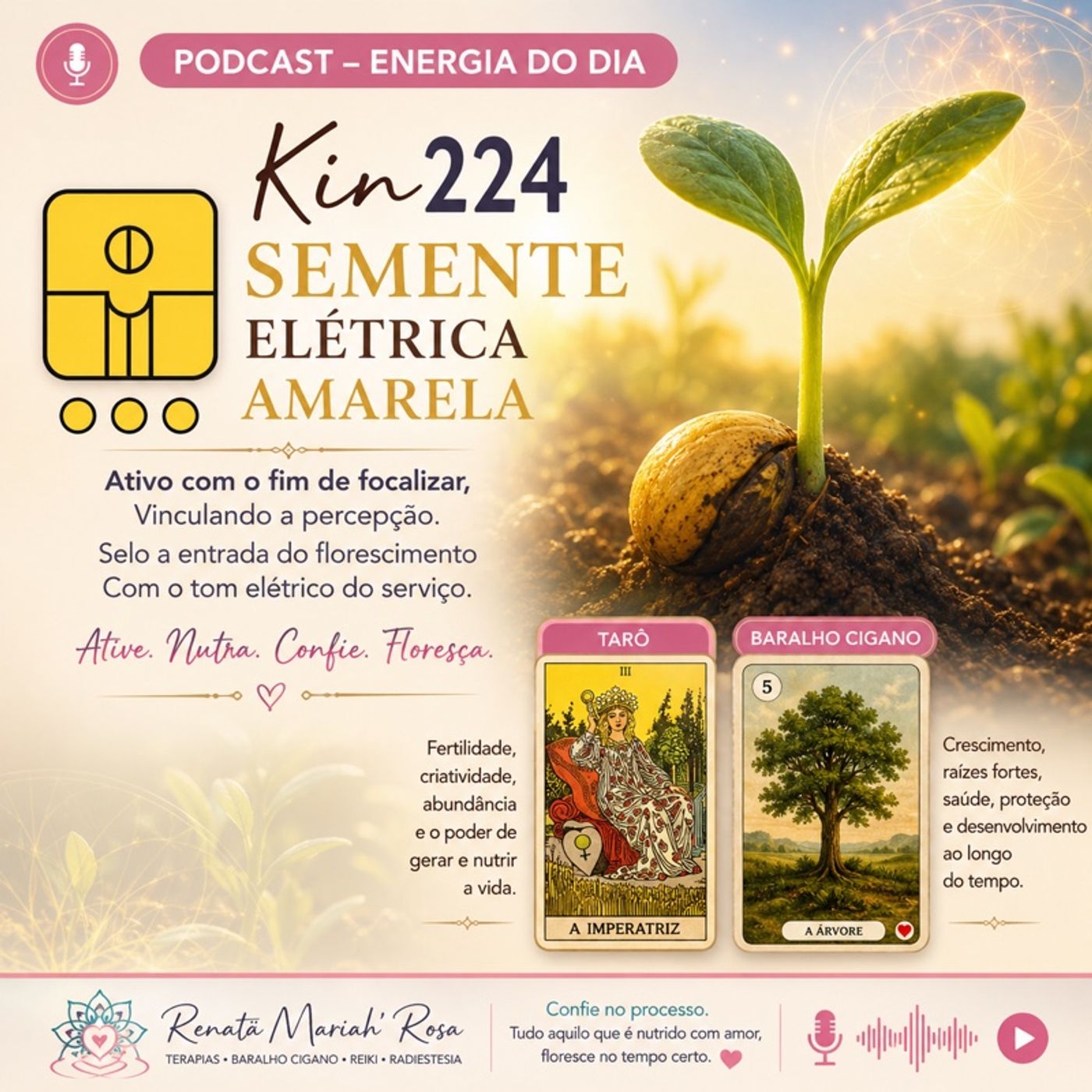 ENERGIA DO DIA  Kin 224 – Semente Elétrica Amarela episode artwork