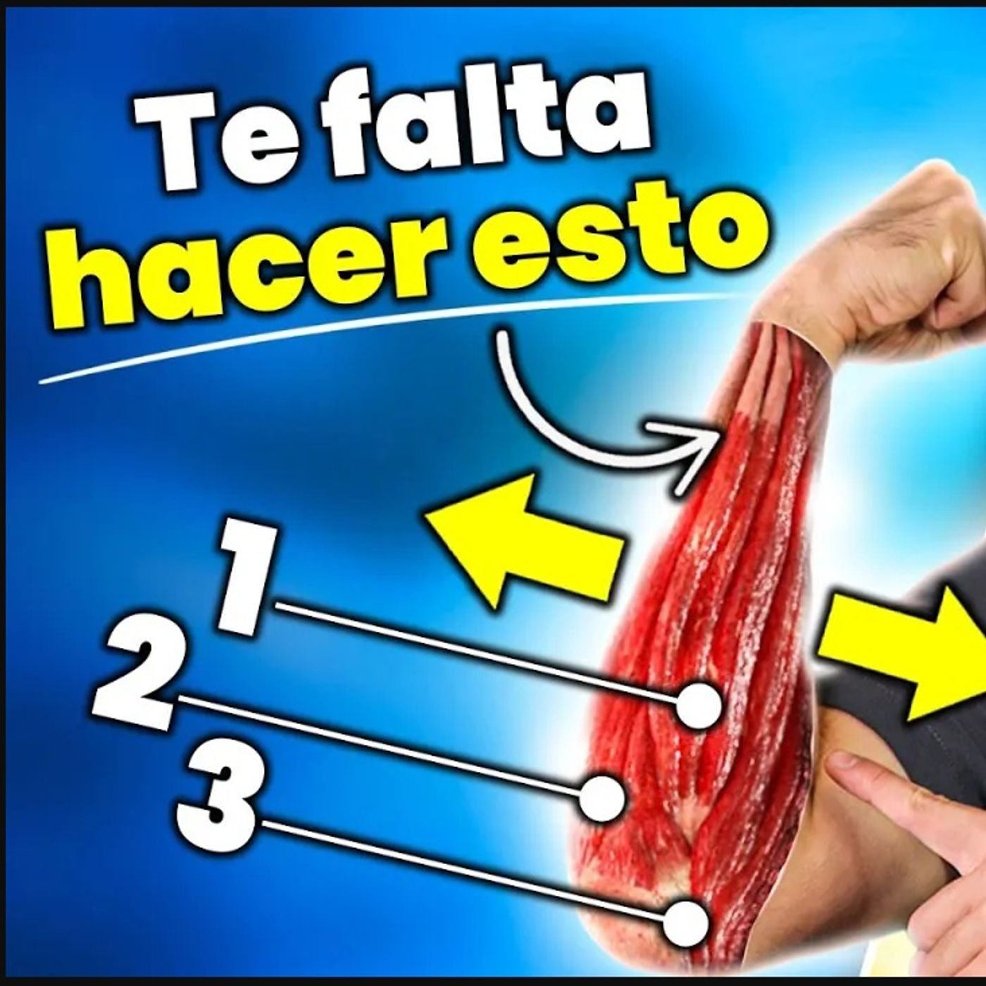 ¡TRANSFÓRMALOS! Consigue ANTEBRAZOS GRANDES y DEFINIDOS | EJERCICIOS para ANTEBRAZOS |