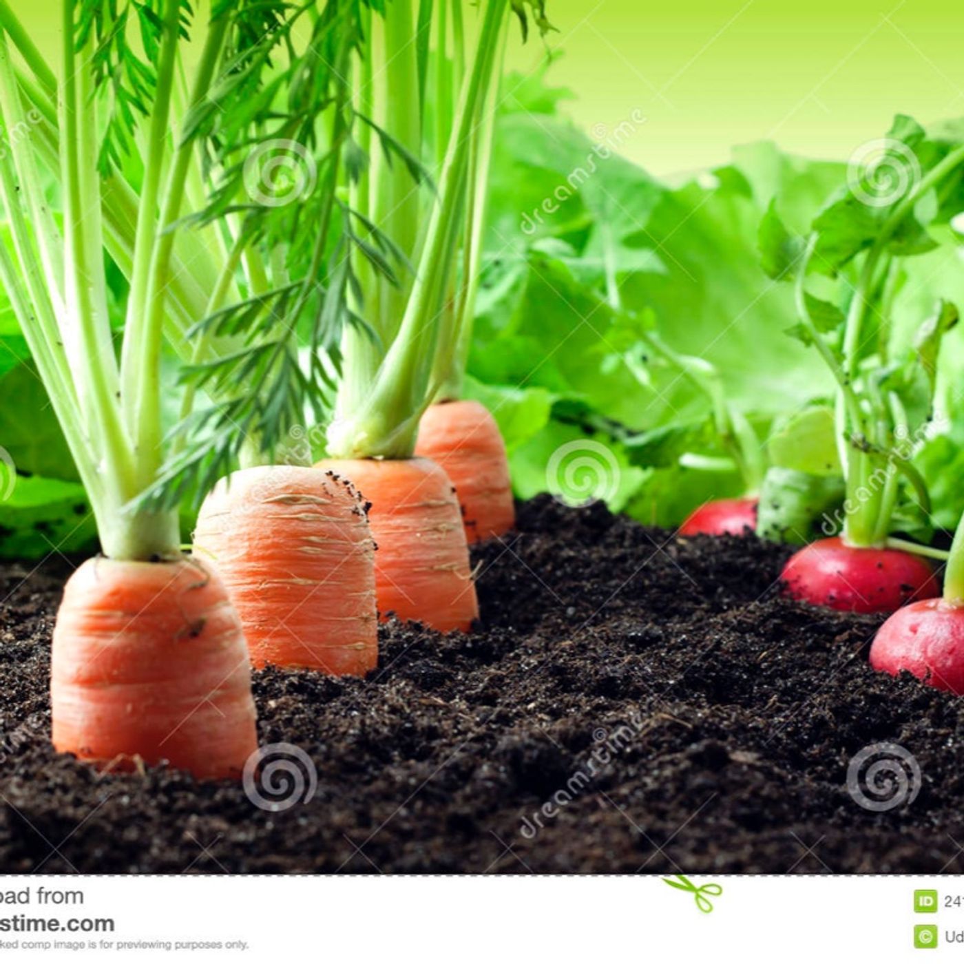 How does your garden grow thumbnail