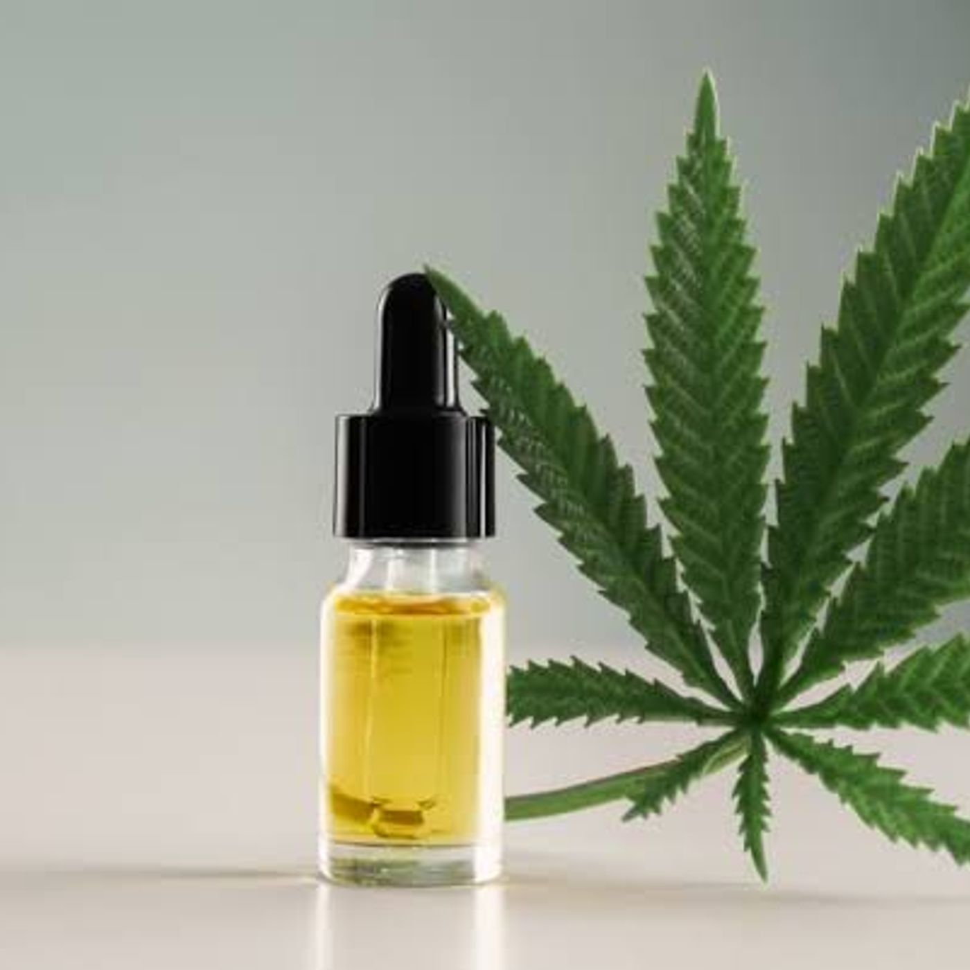 Cannabis podcast podcast artwork