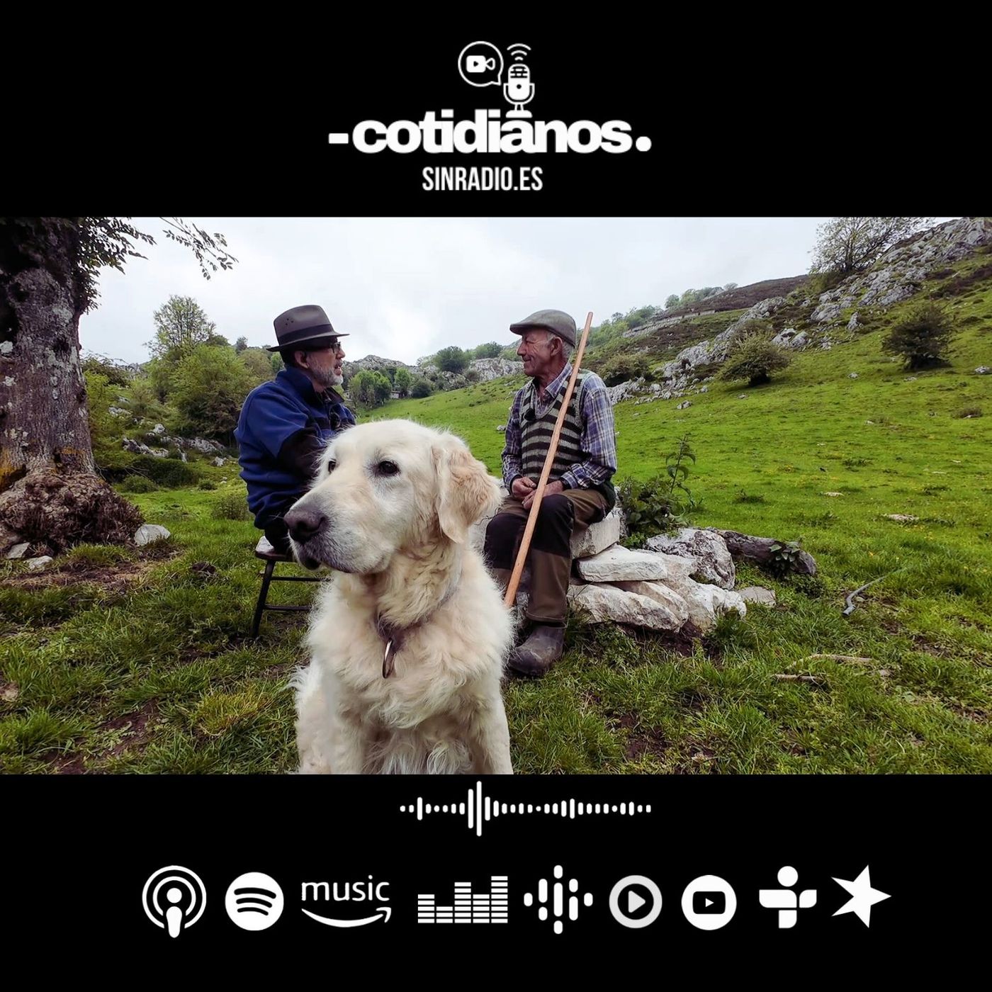 SinRadio
