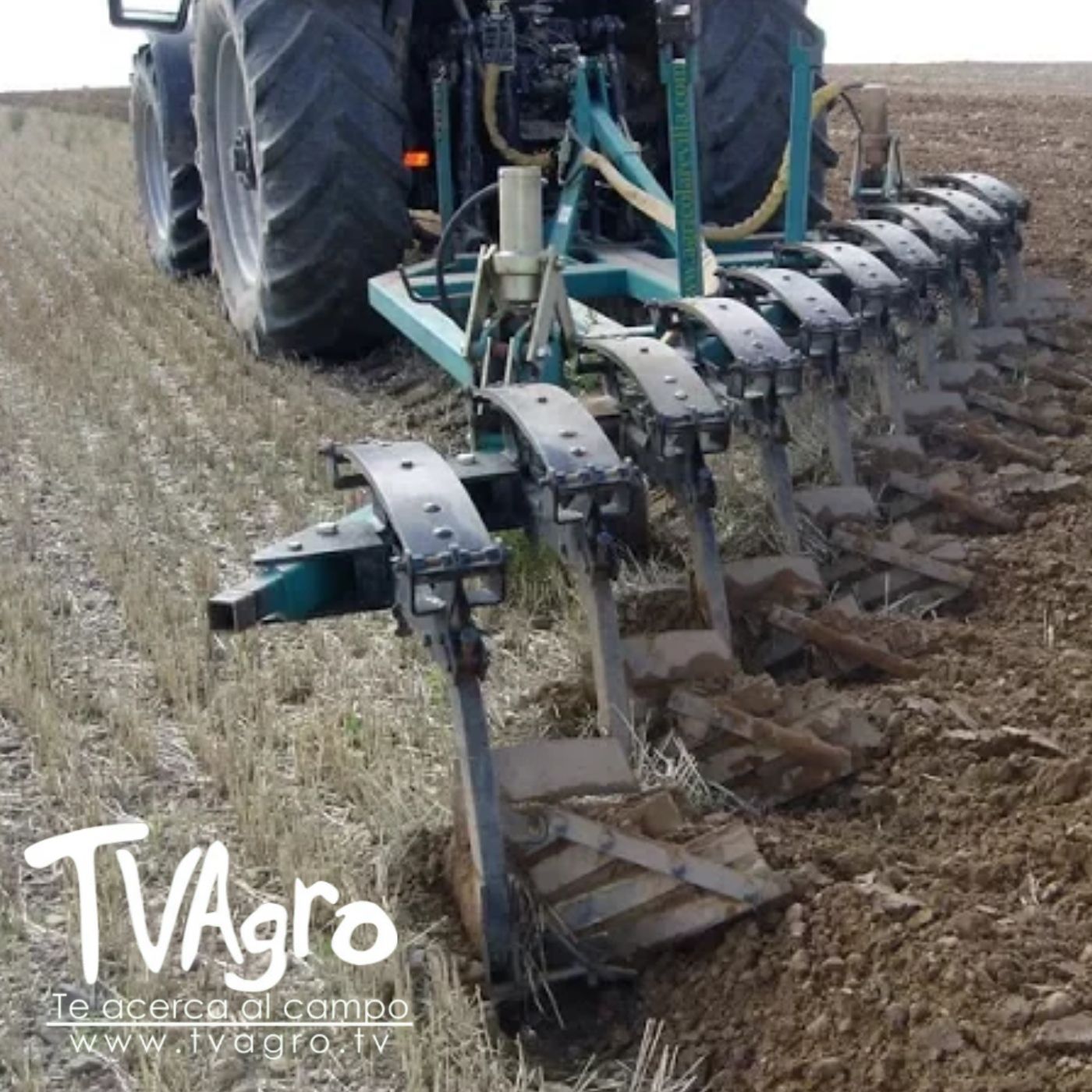 TV AGRO