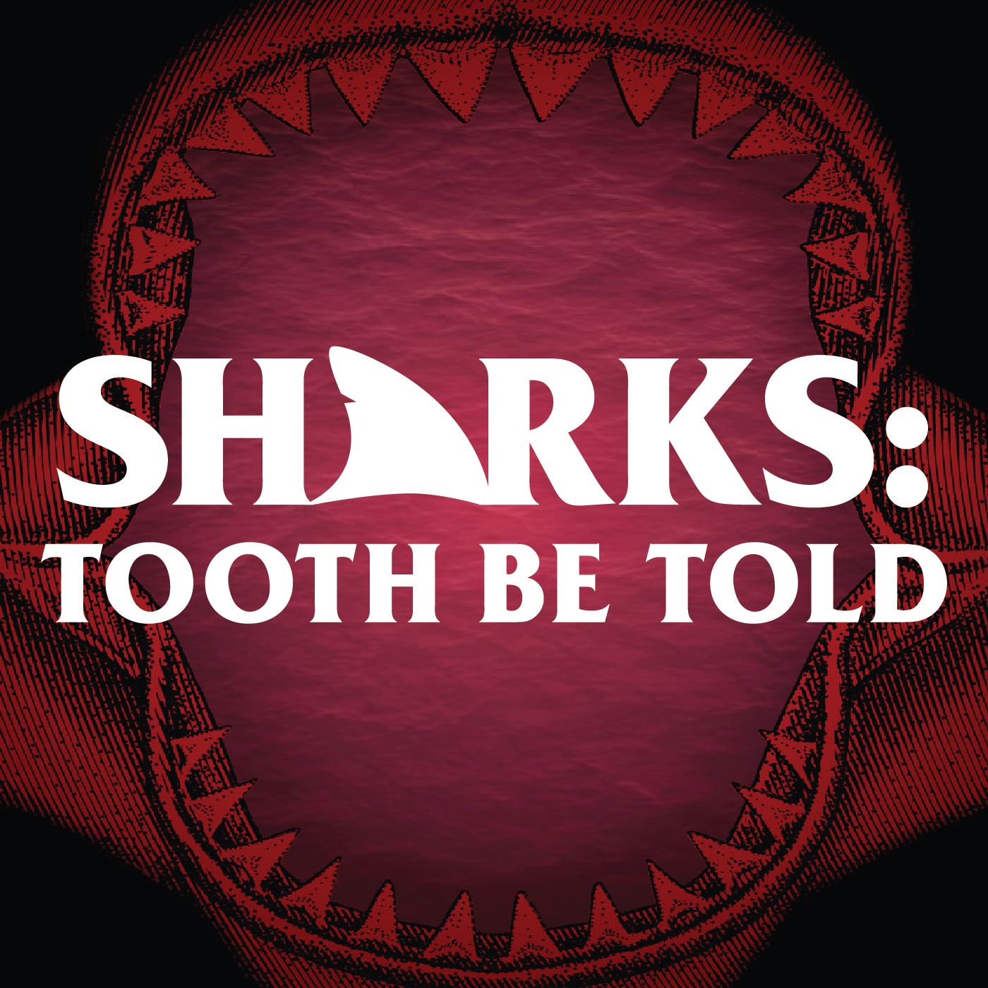 Sharks: Tooth Be Told