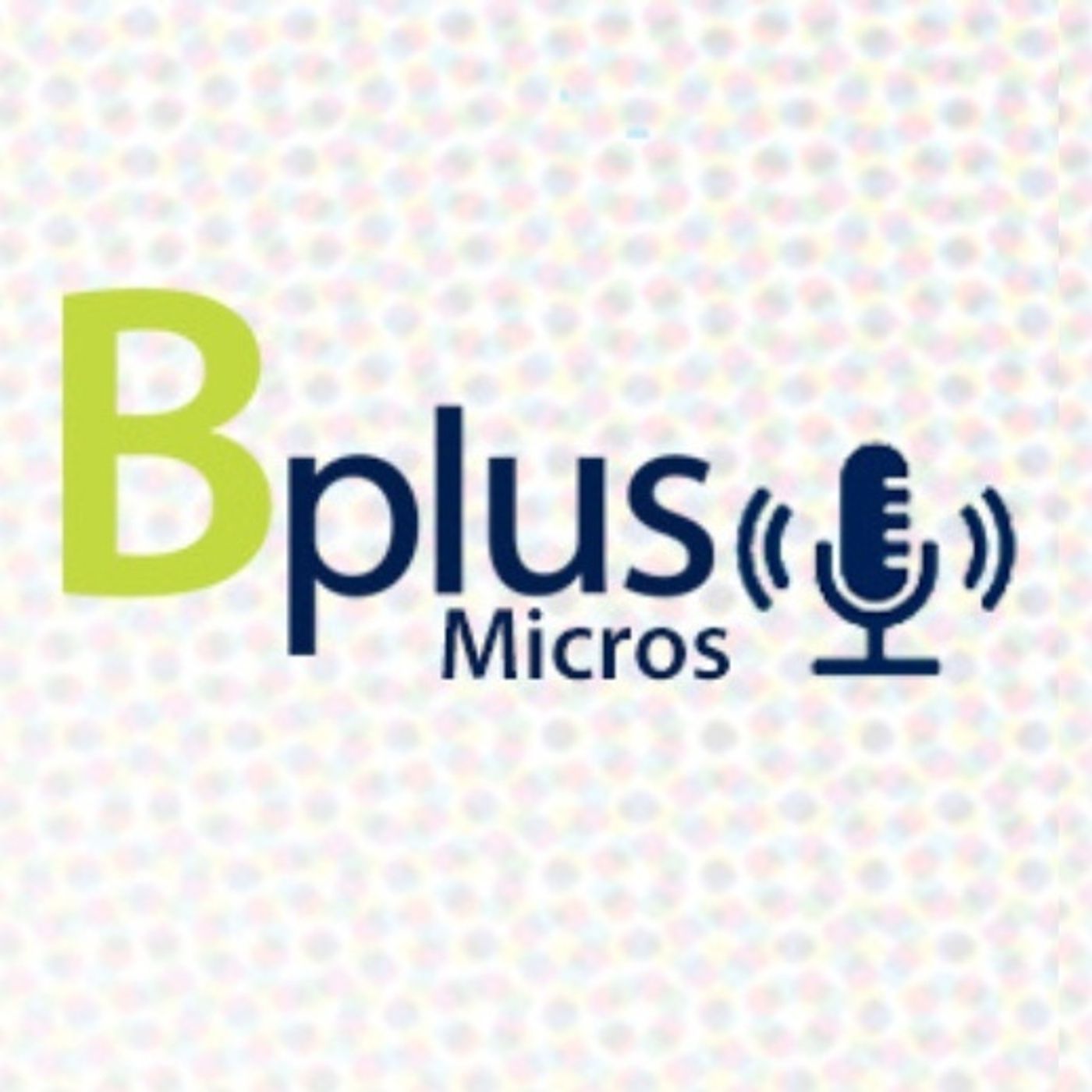 Micros Financieros Bplus
