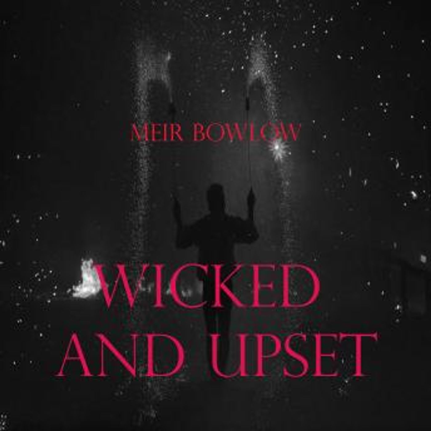 Download New Full Audiobooks in Mystery, Thriller & Horror, Police & Detective
