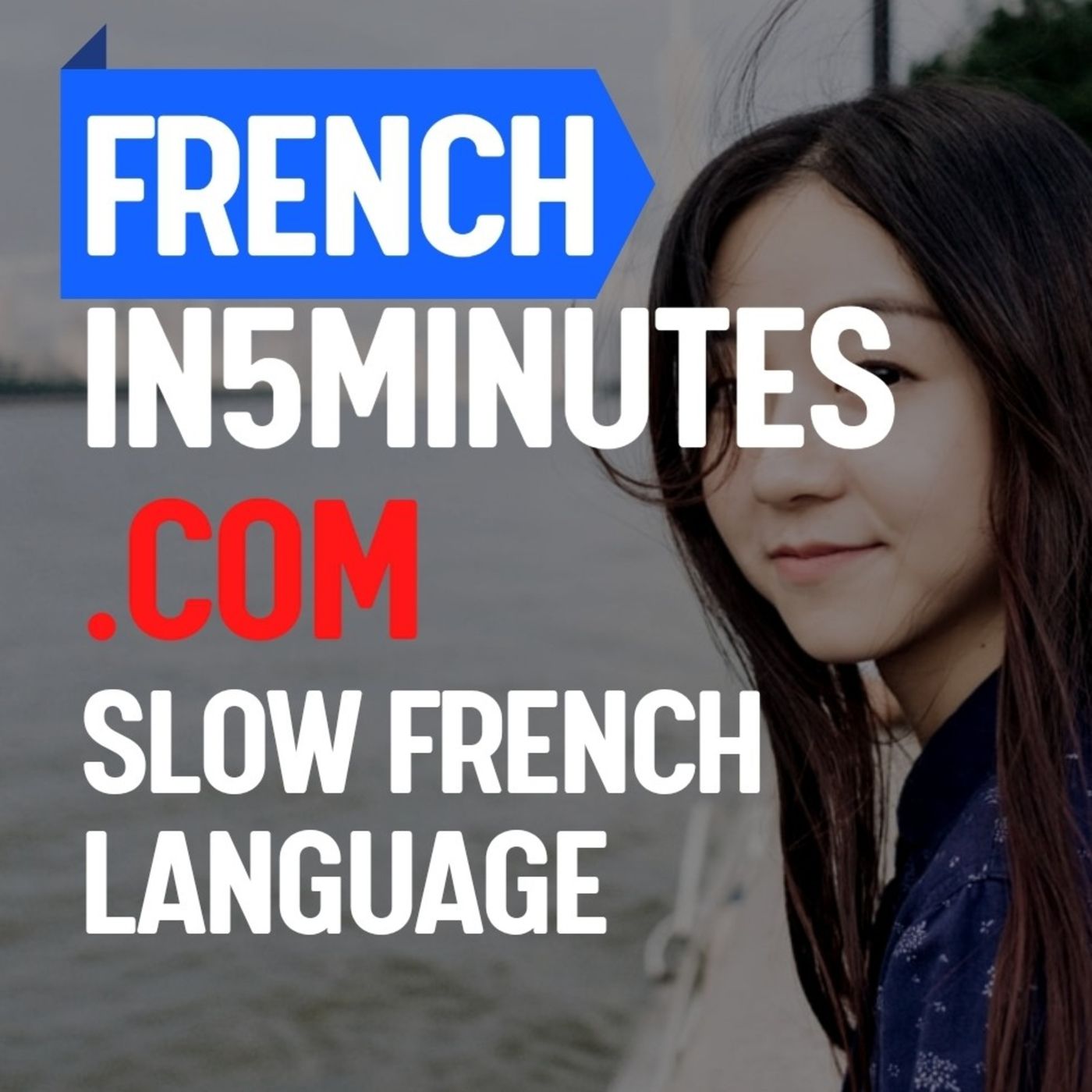 FRENCHIN5MINUTES - Learn French in 5 minutes a day !