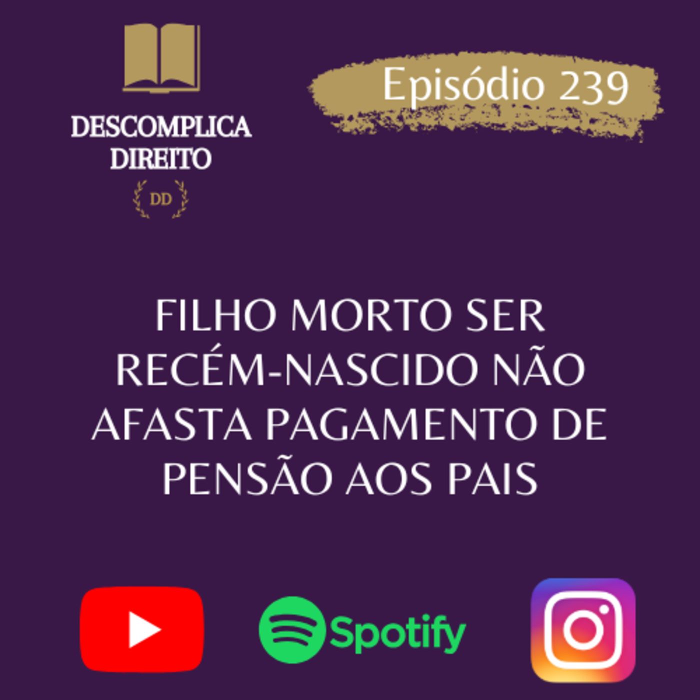 DESCOMPLICA DIREITO
