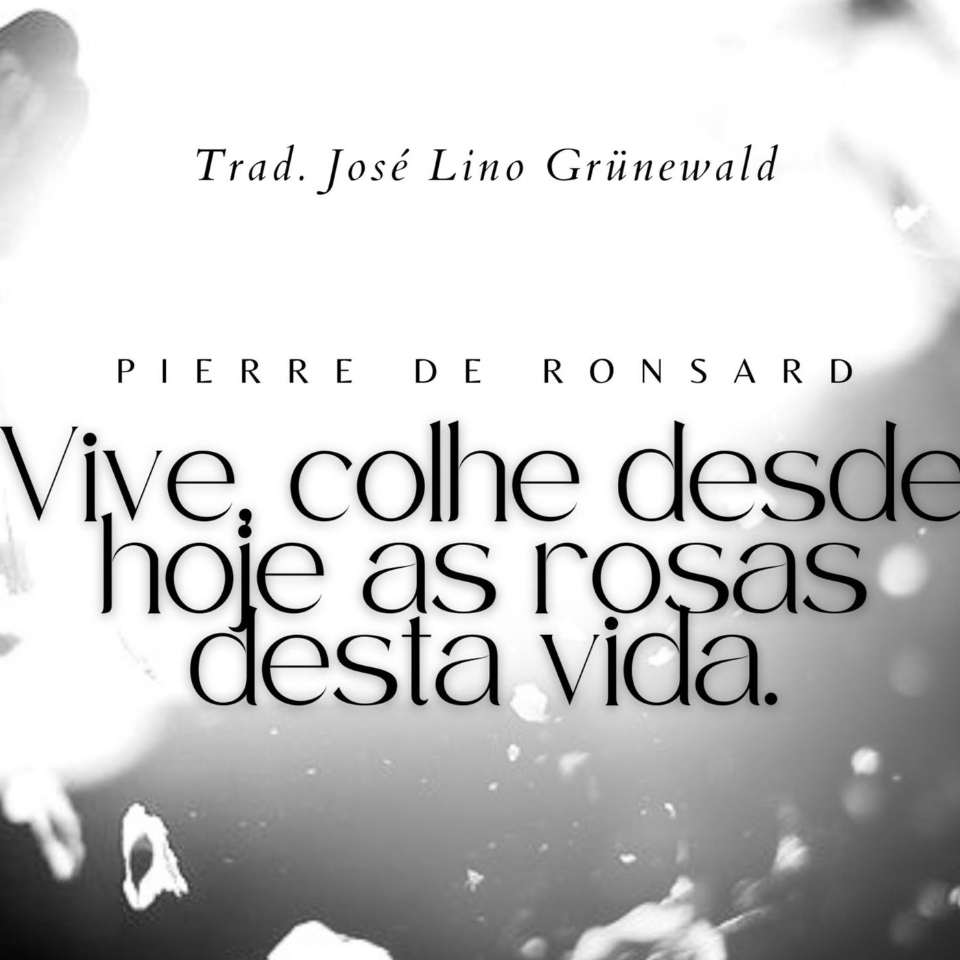 Adalberto Nascimento | Poesia e Recitação