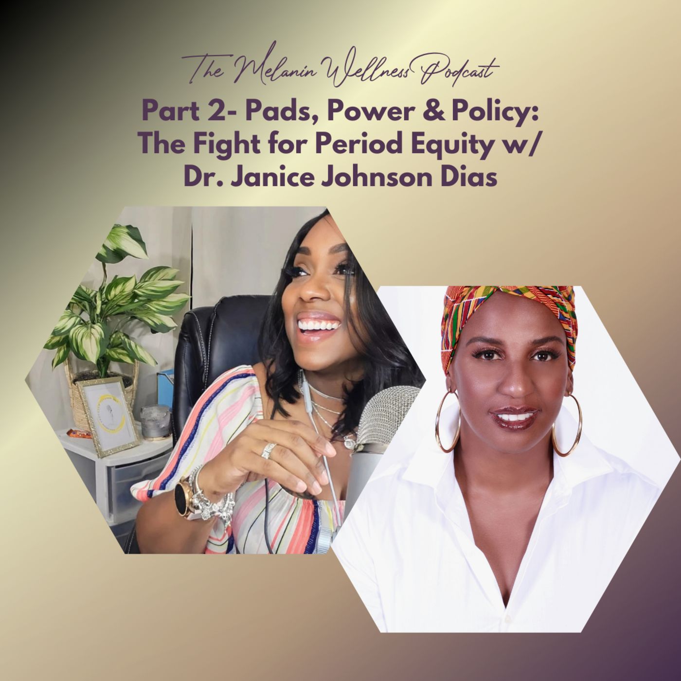 Part 2: Pads, Power & Policy: The Fight for Period Equity with Dr. Dias episode artwork