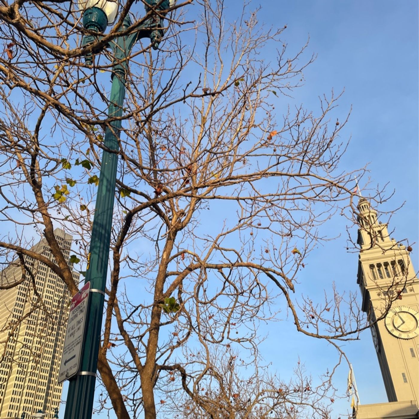 Episode 194 - Hey Now USA Radio