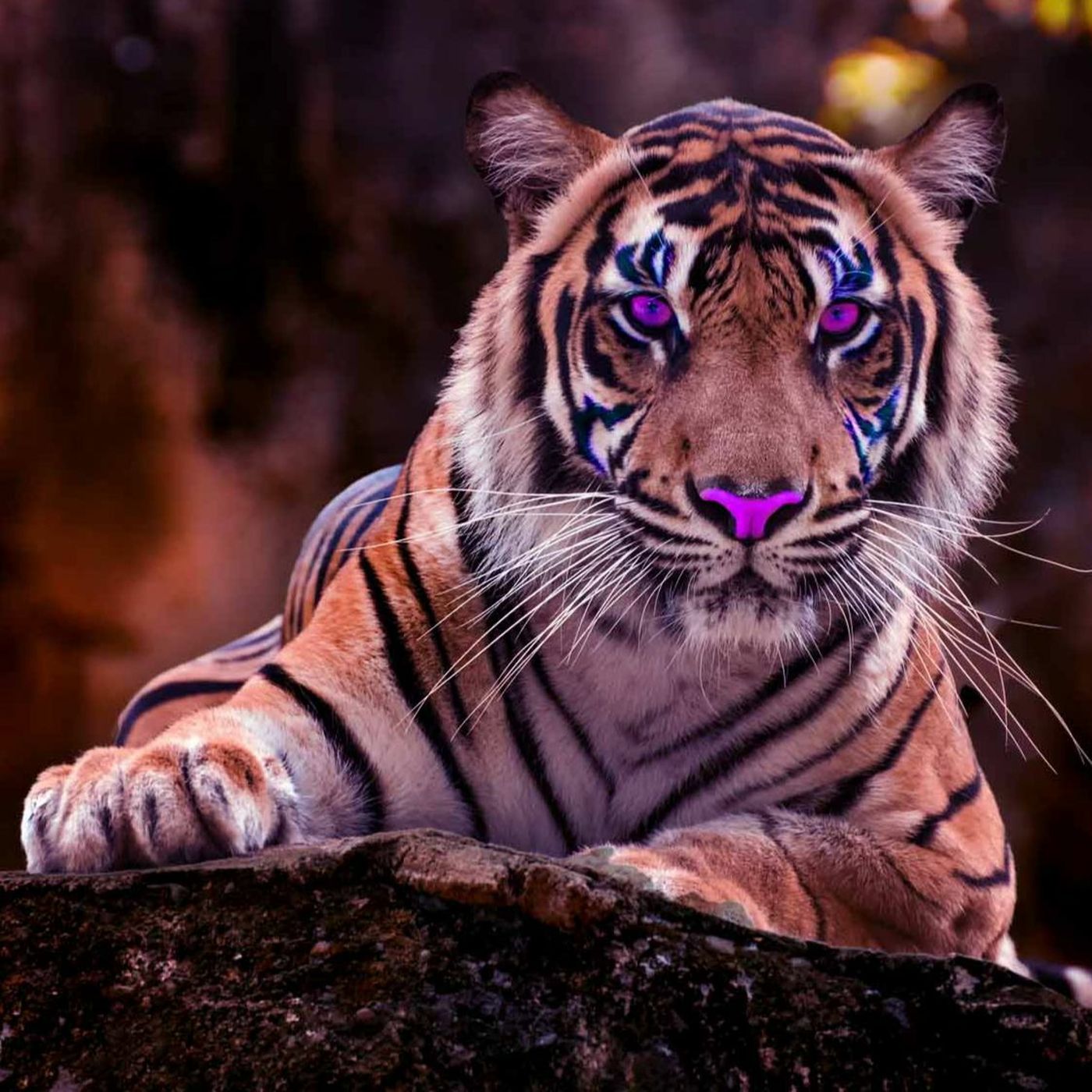 Stories Fables Ghostly Tales