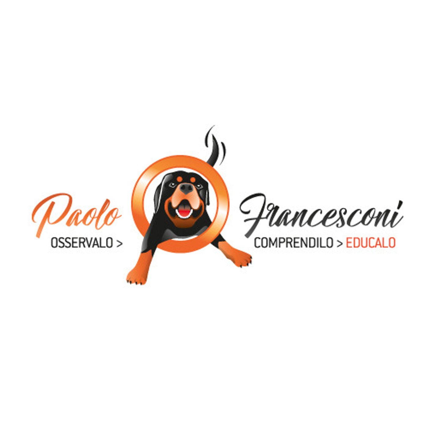 Consigli per un cane educato.