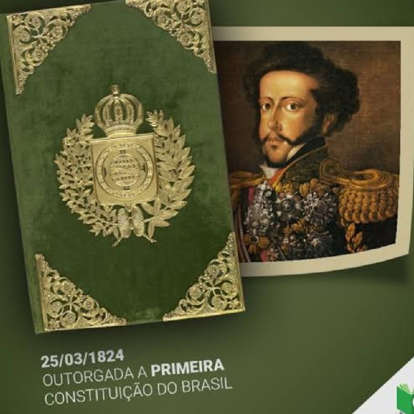 Nosso Direito Constitucional
