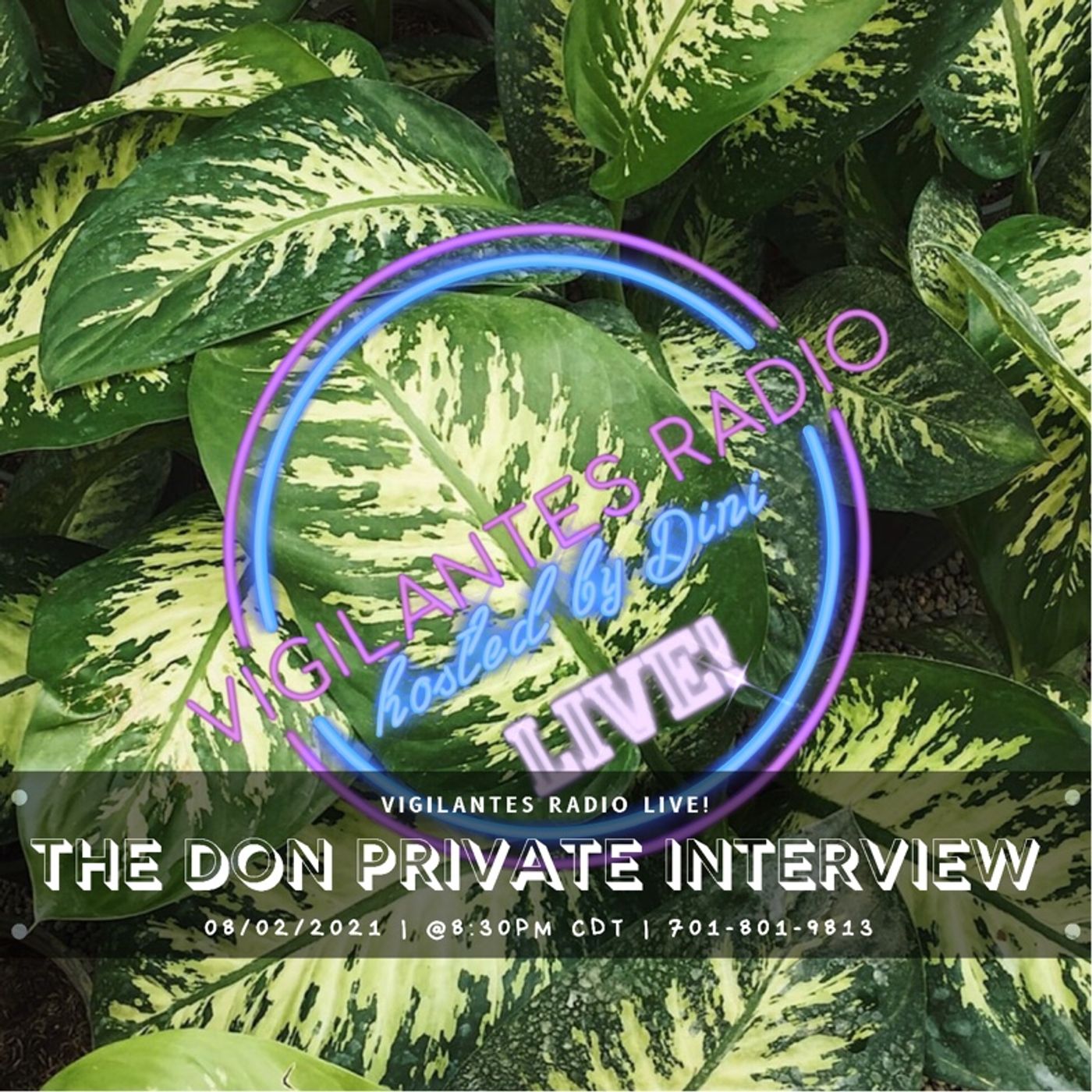 The Don Private Interview. Image