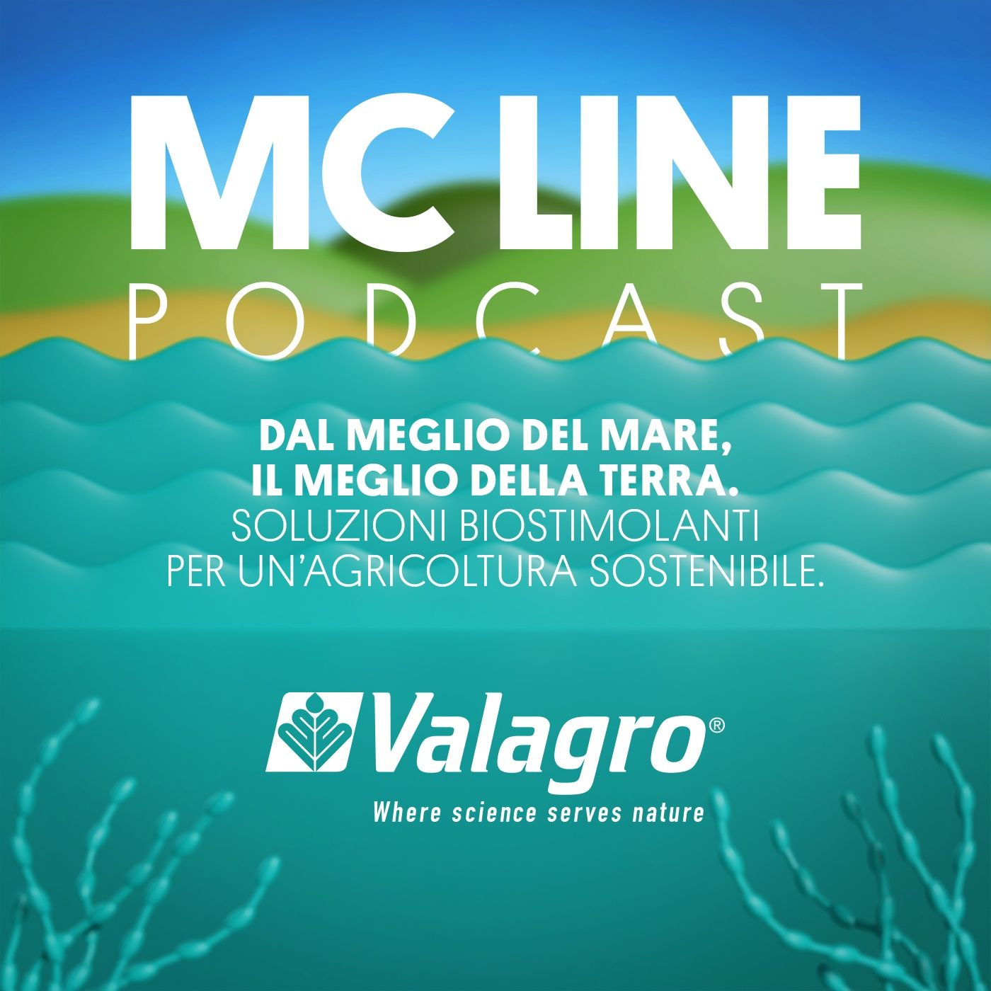 MC LINE - Dal meglio del mare, il meglio della terra
