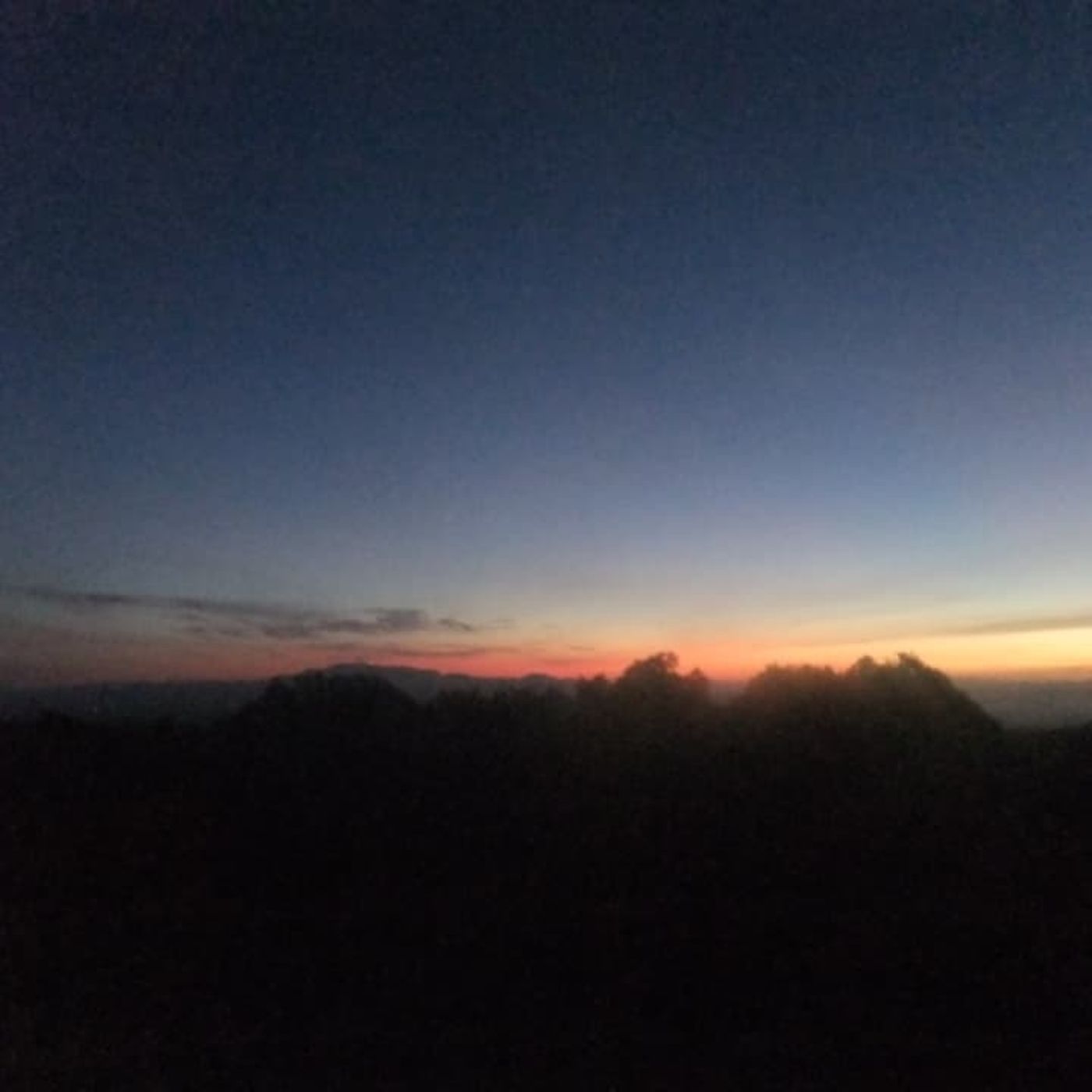 Nature Sounds