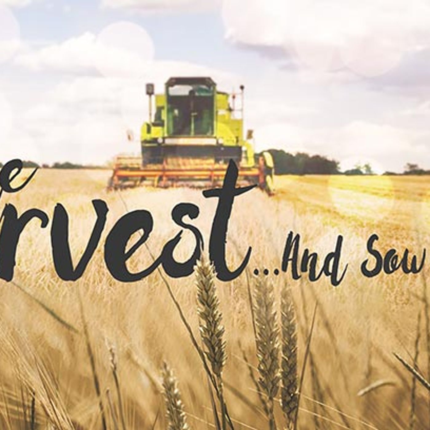 The Harvest – Part 3 episode artwork