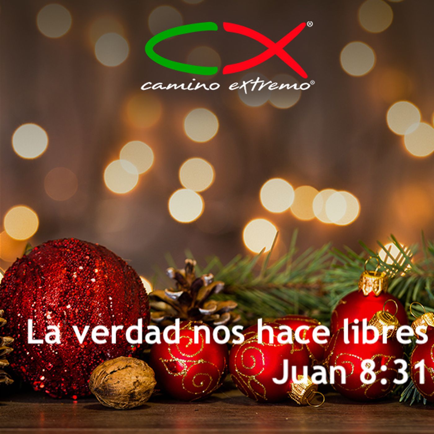 Oración 30 de diciembre (La verdad nos hace libres) episode artwork