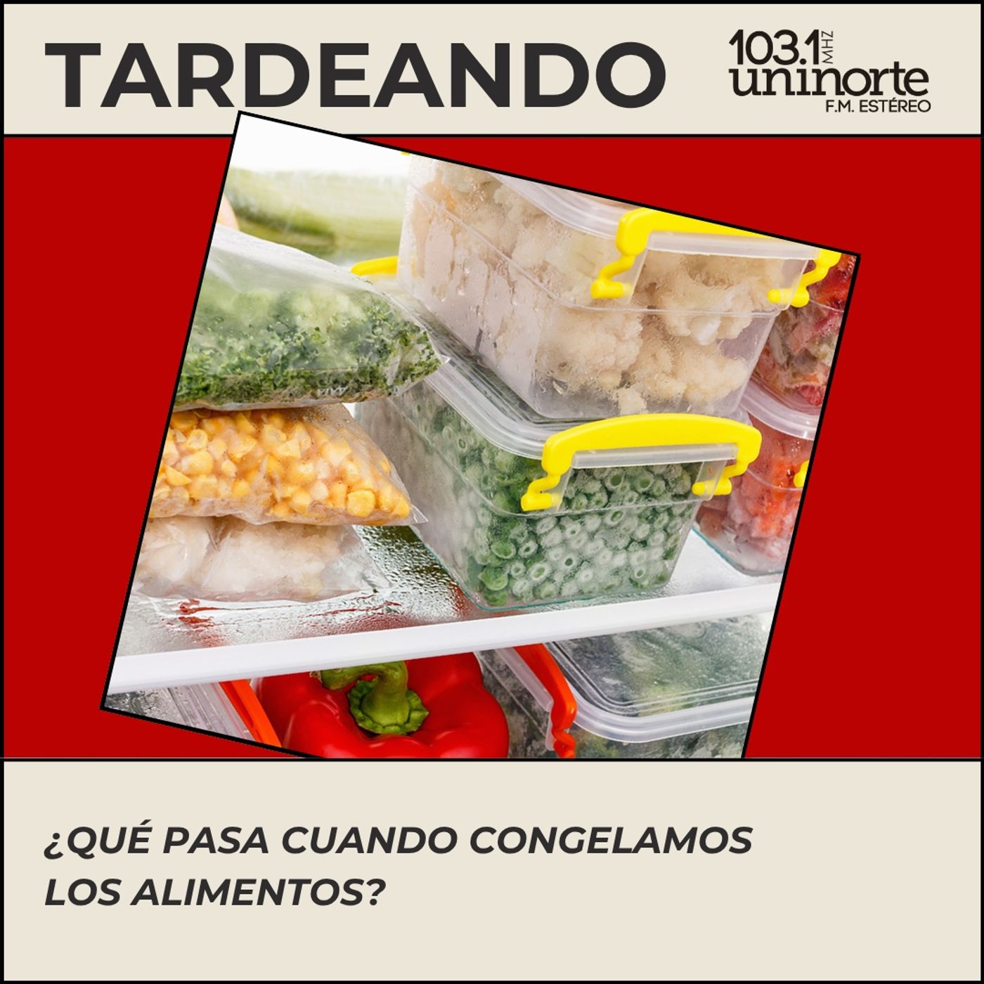 Hey Prende la Luz :: ¿Qué pasa cuando congelamos los alimentos? episode artwork