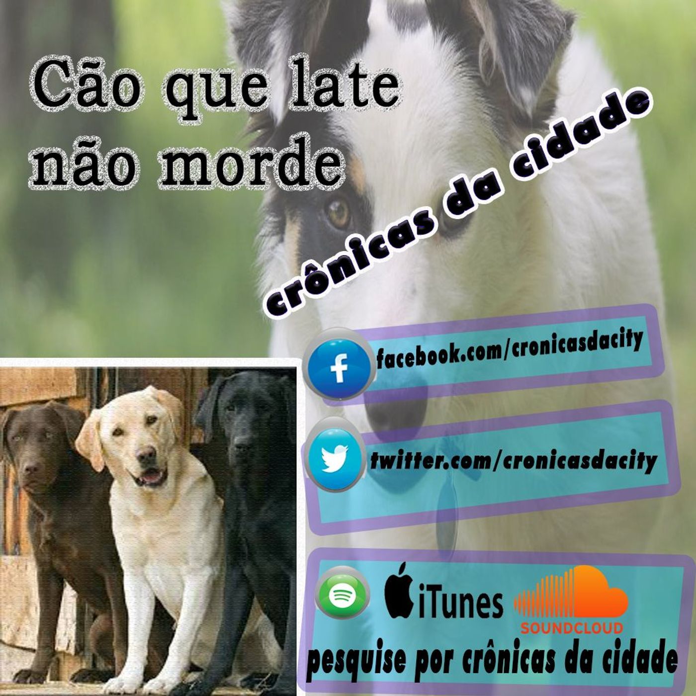 cronicasdacidade