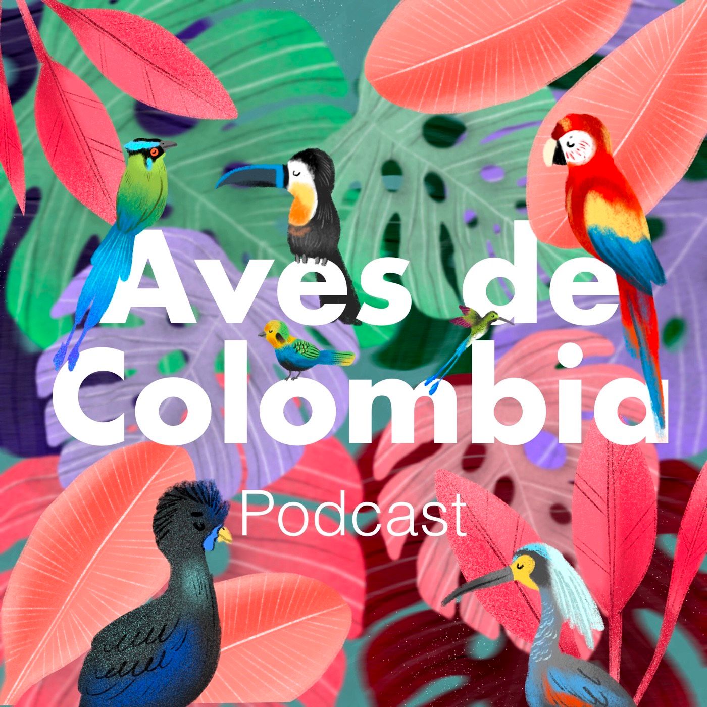 Aves de Colombia- Colombian Birds. Album Art