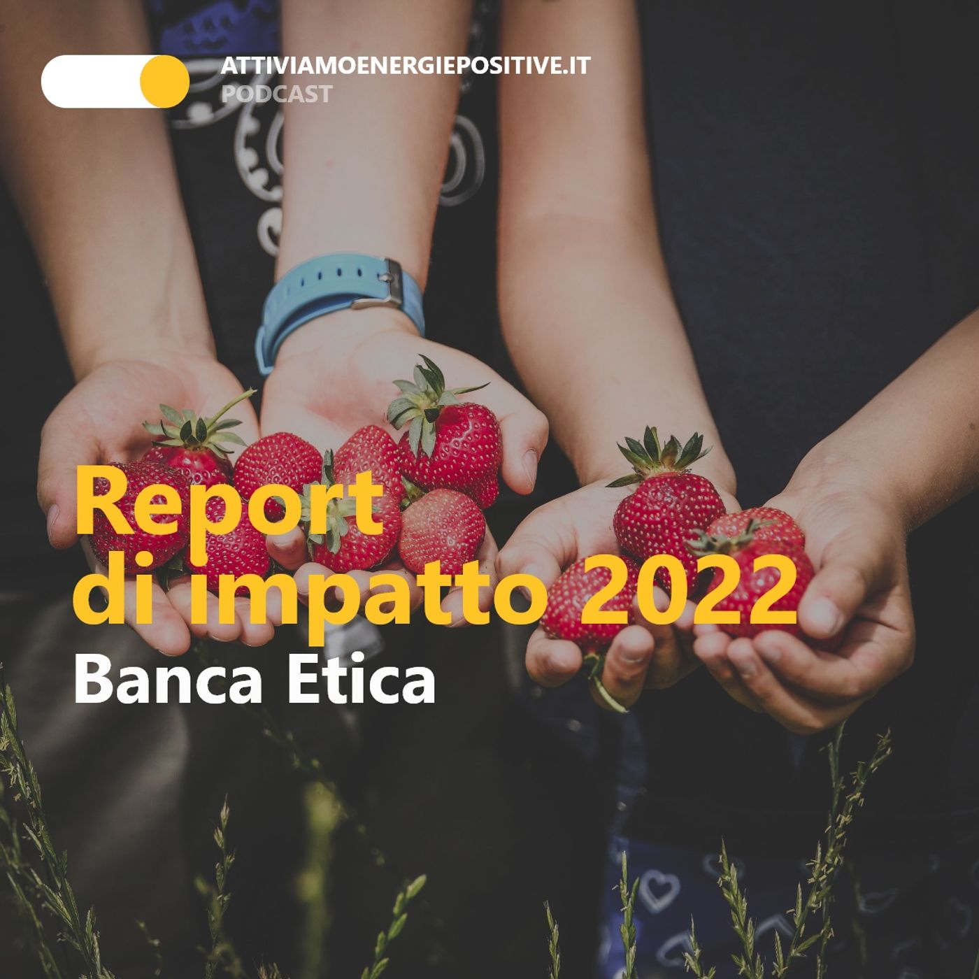 L'impatto dei tuoi soldi in banca: rispettano le persone e l'ambiente? episode artwork