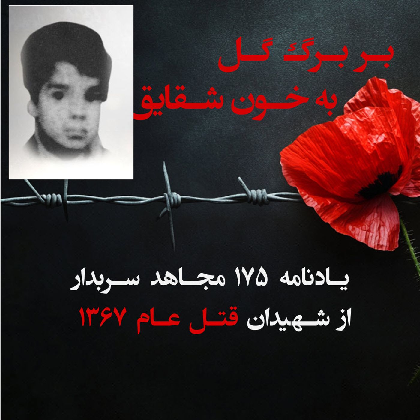 بربرگ گل به خون شقایق-احمد غلامی-۱۰۲ episode artwork