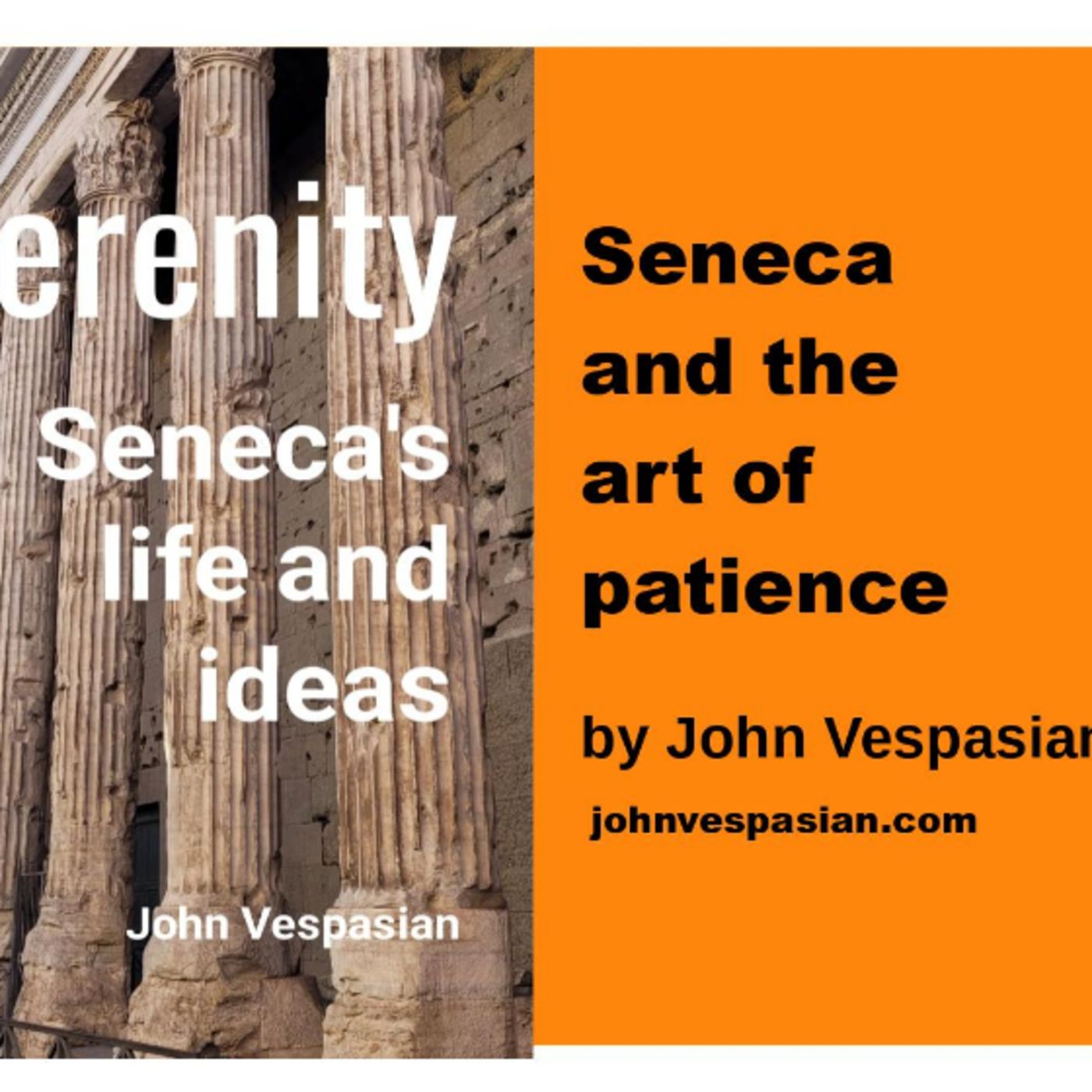 Seneca and the art of patience episode artwork