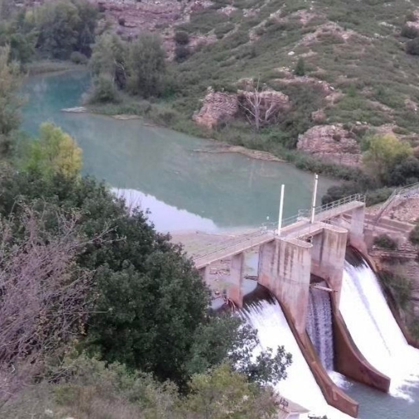 Tertulia de Federico: El ecologismo destroza  paisajes y vidas