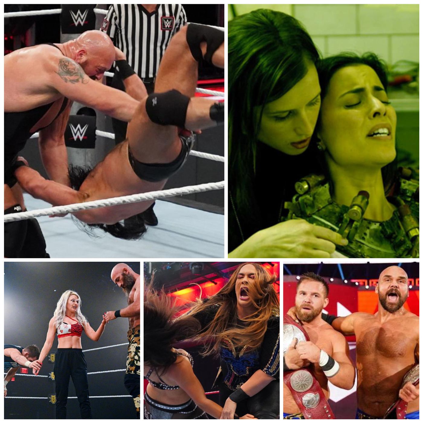 We Enjoy Wrestling