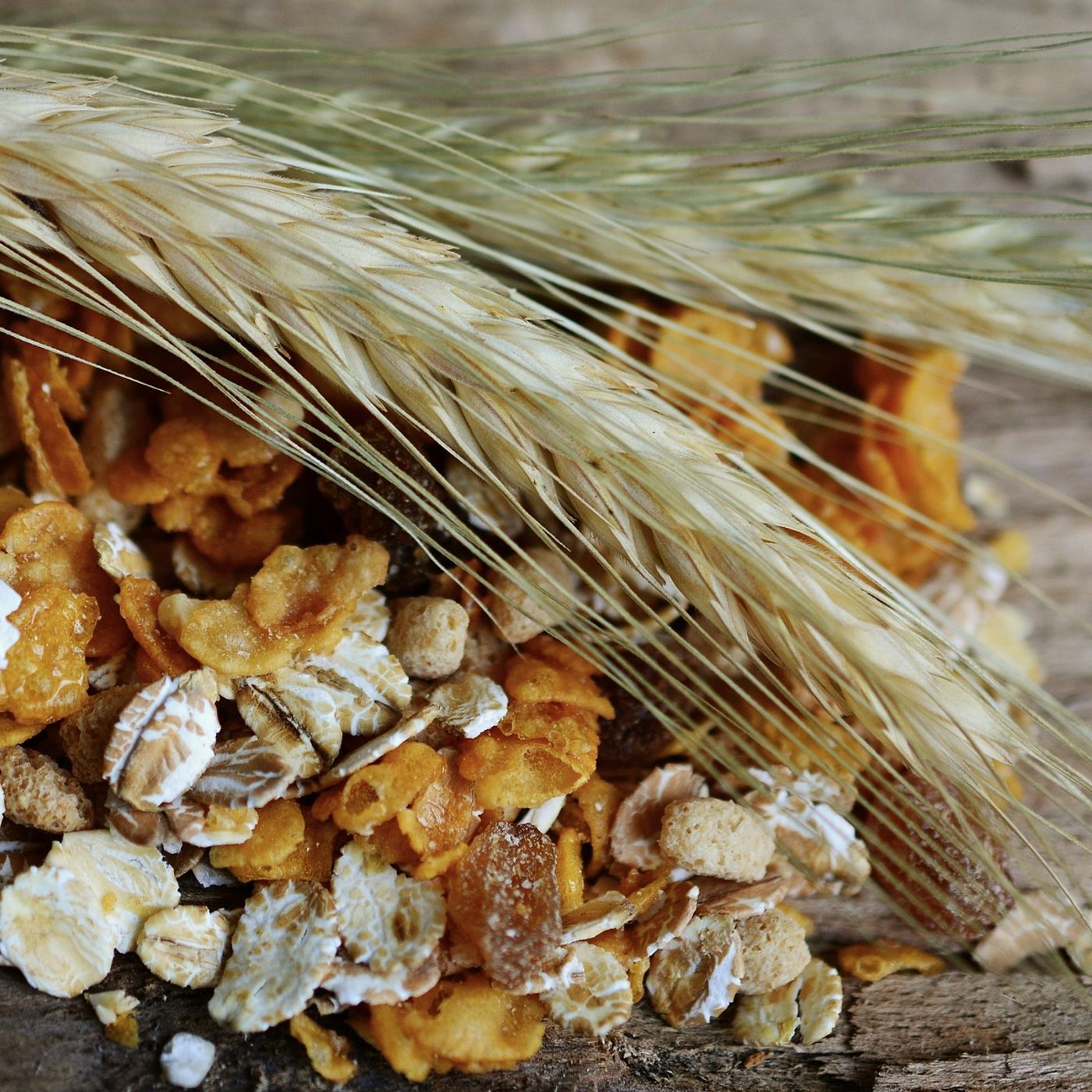 L\'alimentazione by Elisabetta