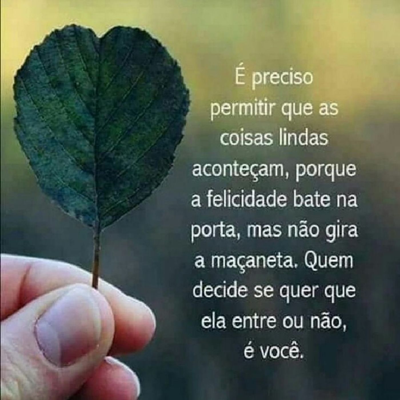 Rádio Gospel Fé em Deus