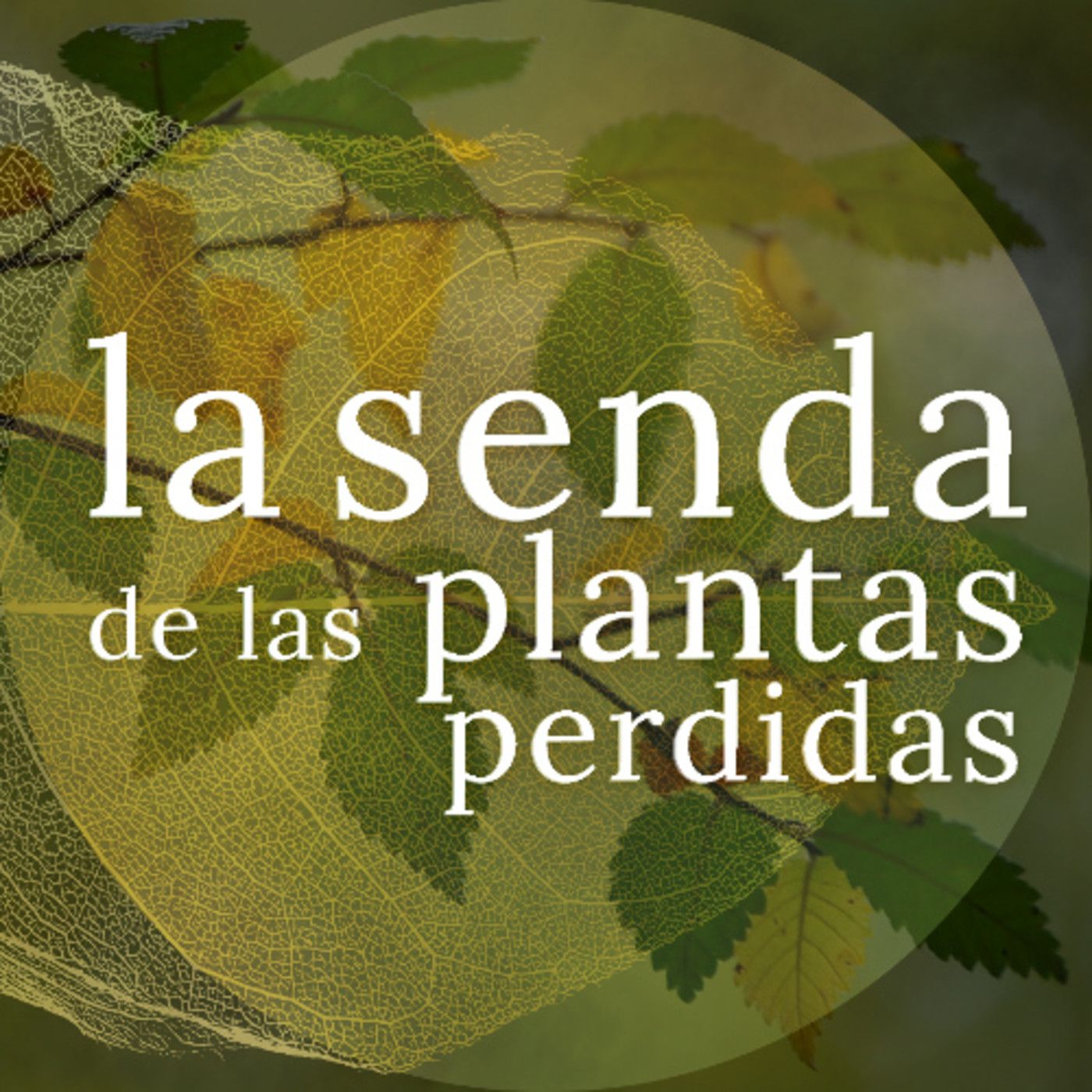 La Senda de las Plantas Perdidas