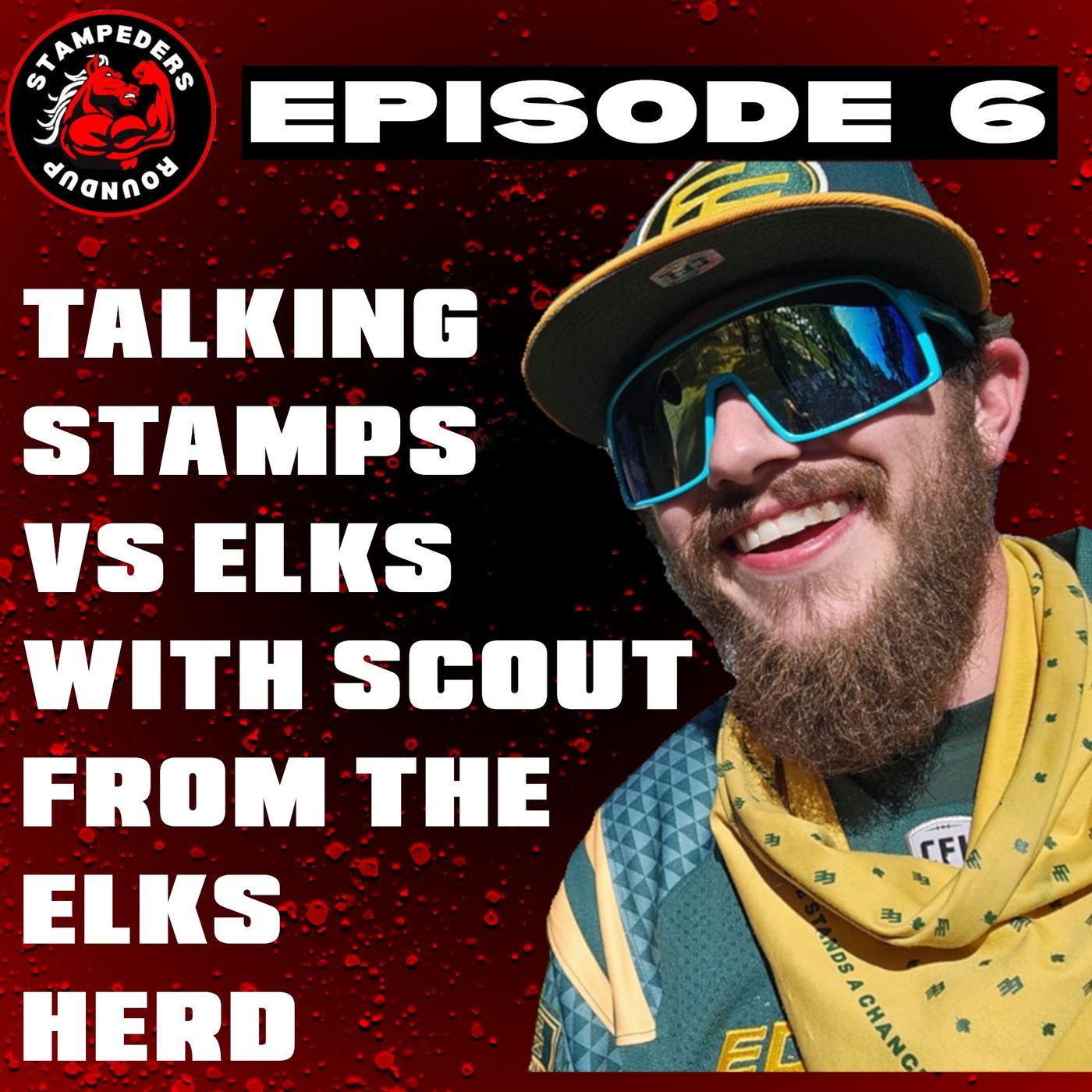 Episode 6 - Scout from The Elks Herd & I Talk Stamps vs Elks